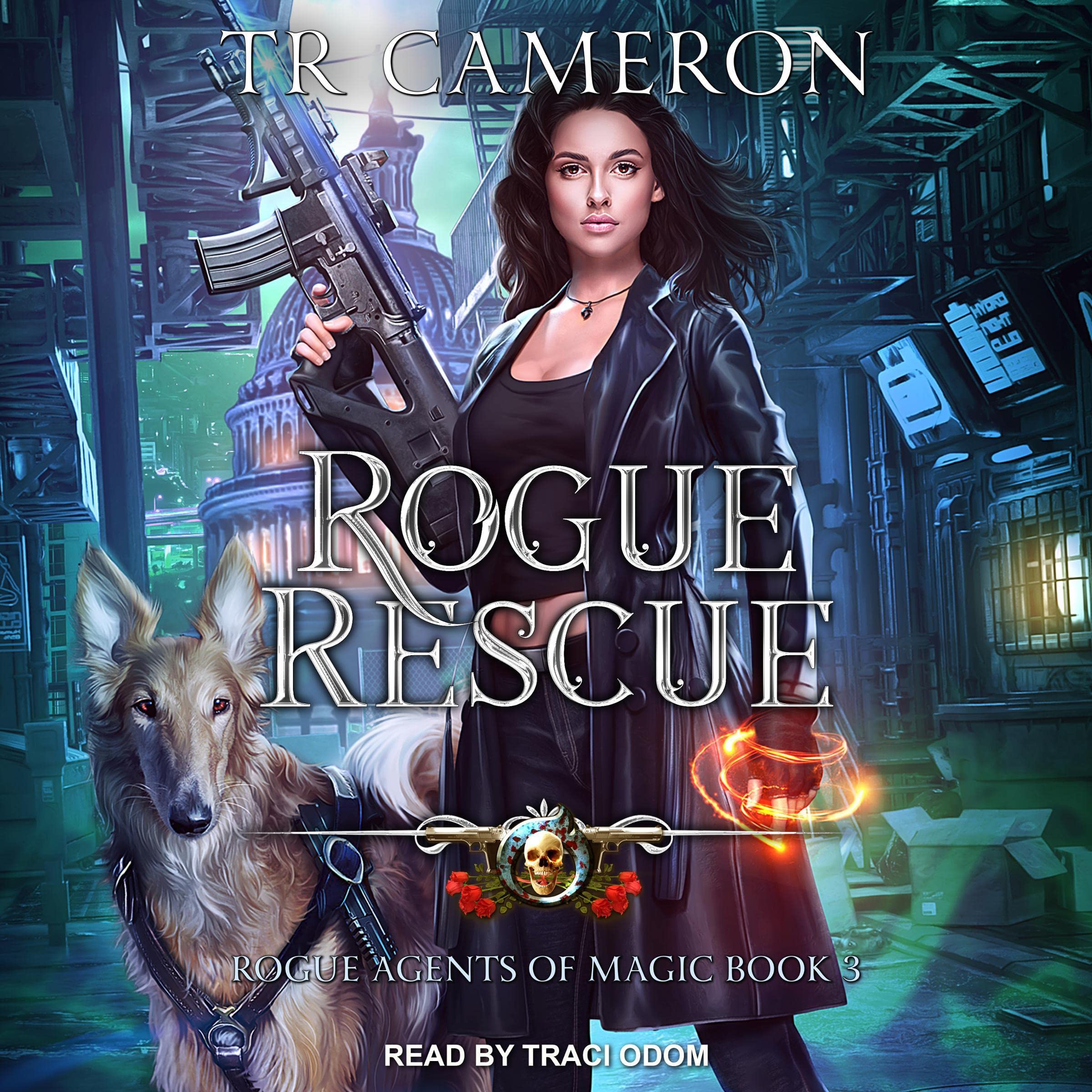 Cover art for Rogue Rescue