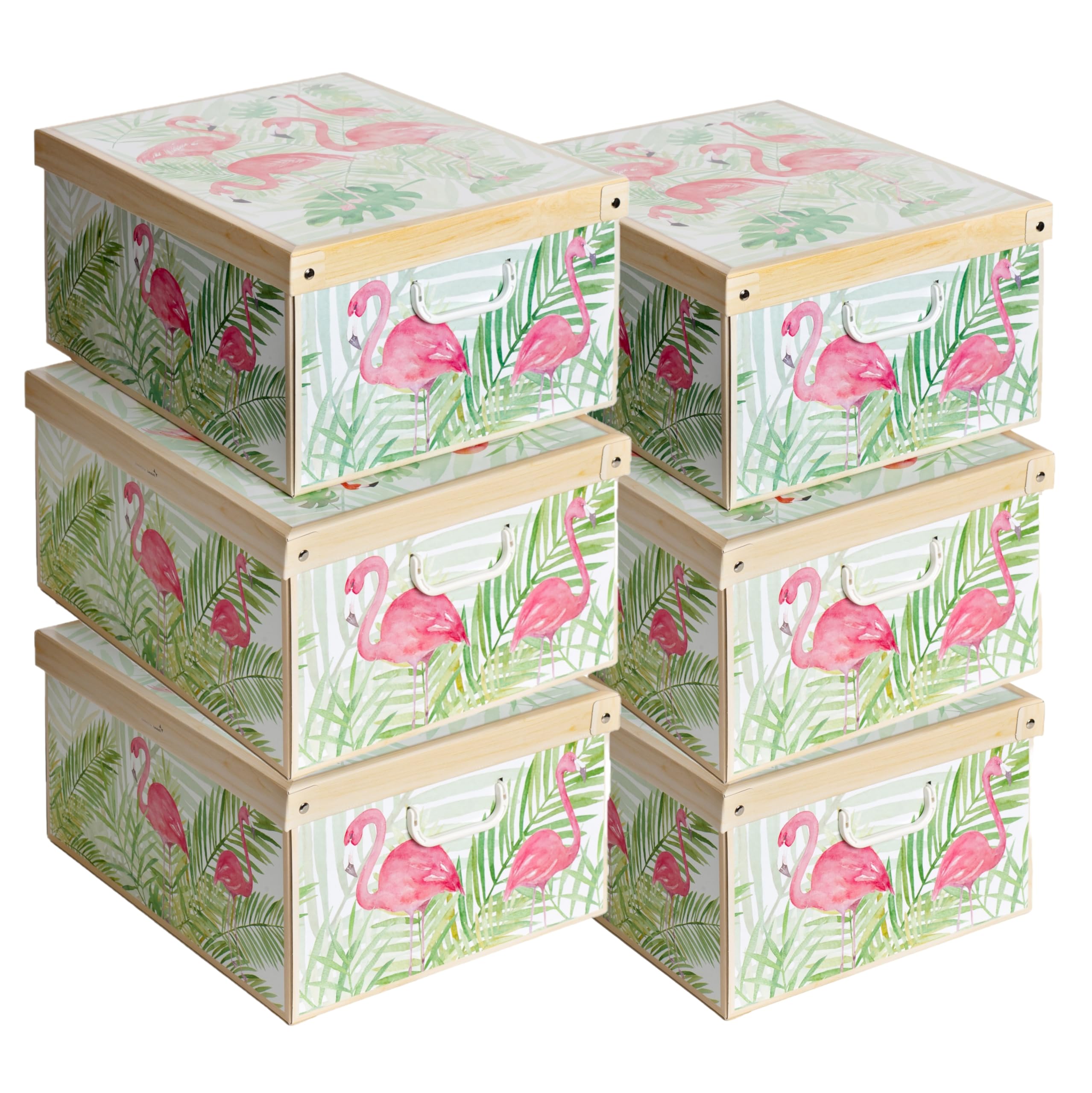 Lavatelli Set 6 Scatole Armadio Portaoggetti con Coperchio – Organizer Cambio Stagione in Cartone 39x50x24 cm – Made in Italy, Resistenti, Facili da Montare, con Maniglie, FENICOTTERI