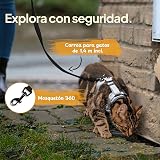 Ver la foto 5