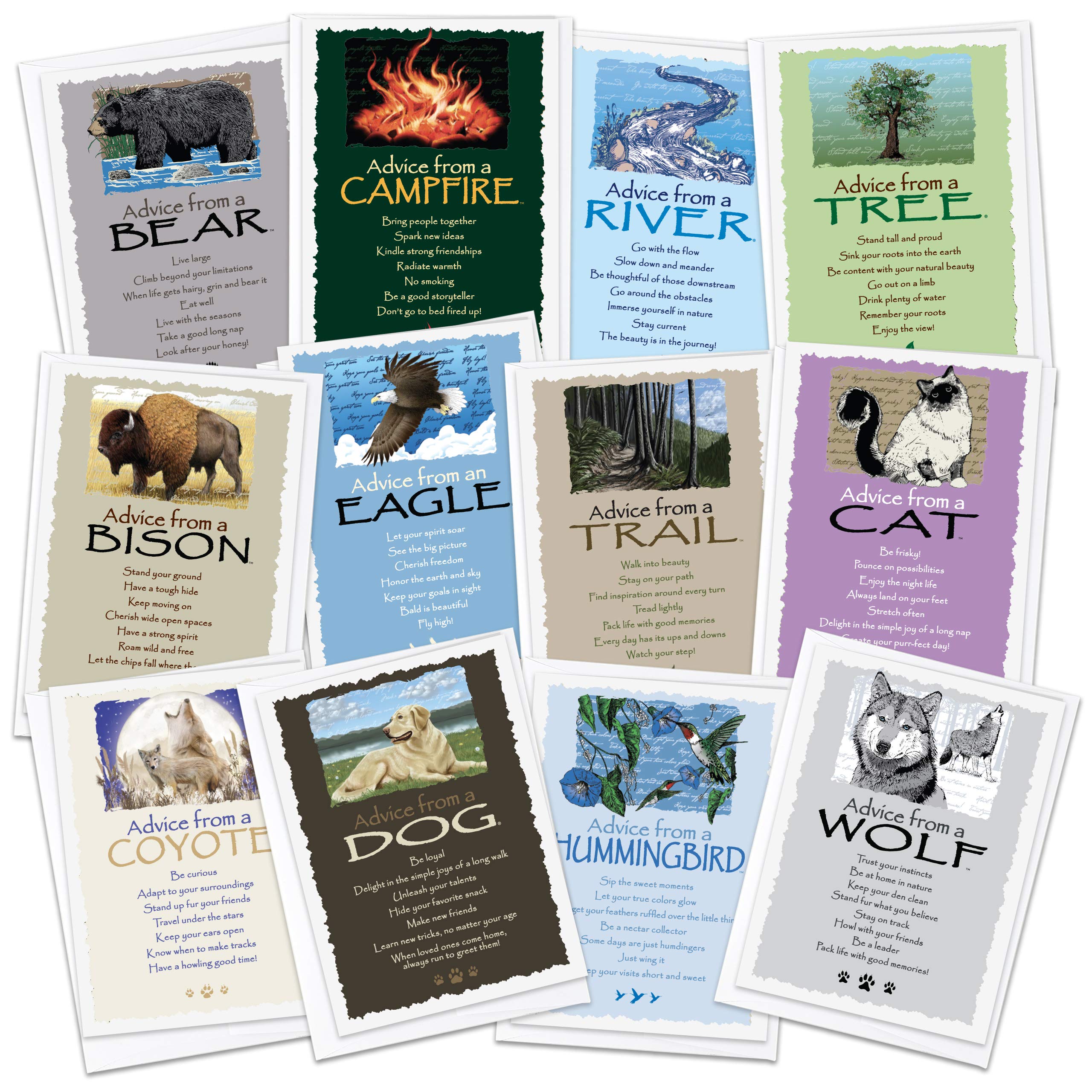 Your True Nature 12 Favorites Greeting Card Set, Advice from a Dog, Cat, Bear, Eagle, Hummingbird, River, Trail, Coyote, Tree, Wolf, Campfire, Bison (
