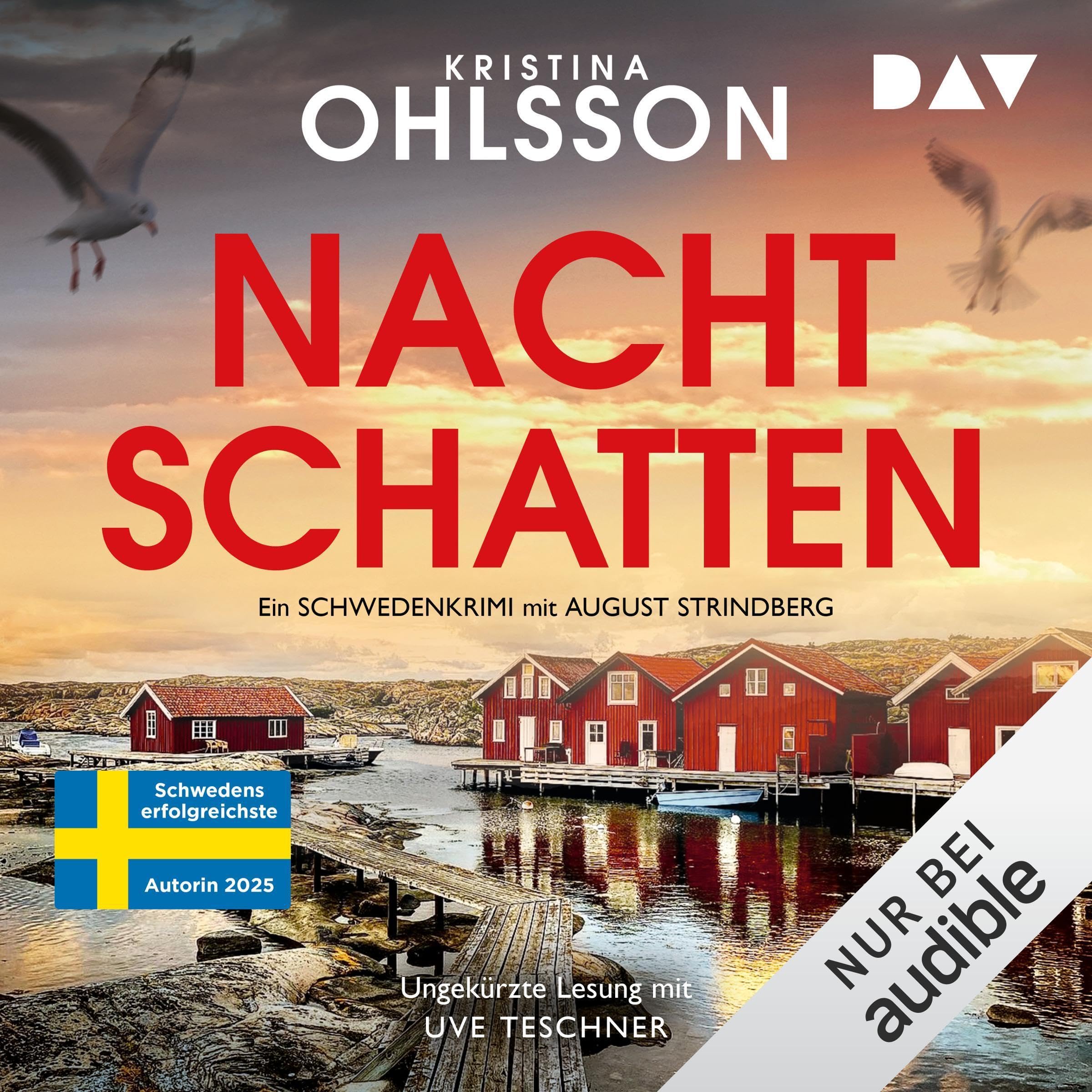 Cover art for Nachtschatten