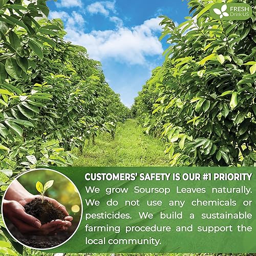 Miniatura 4 de 75 bolsas de té de hoja de graviola de guanábana premium, 100% natural y puro de hojas de guanábana, hechas a mano, hechas con materiales naturales,