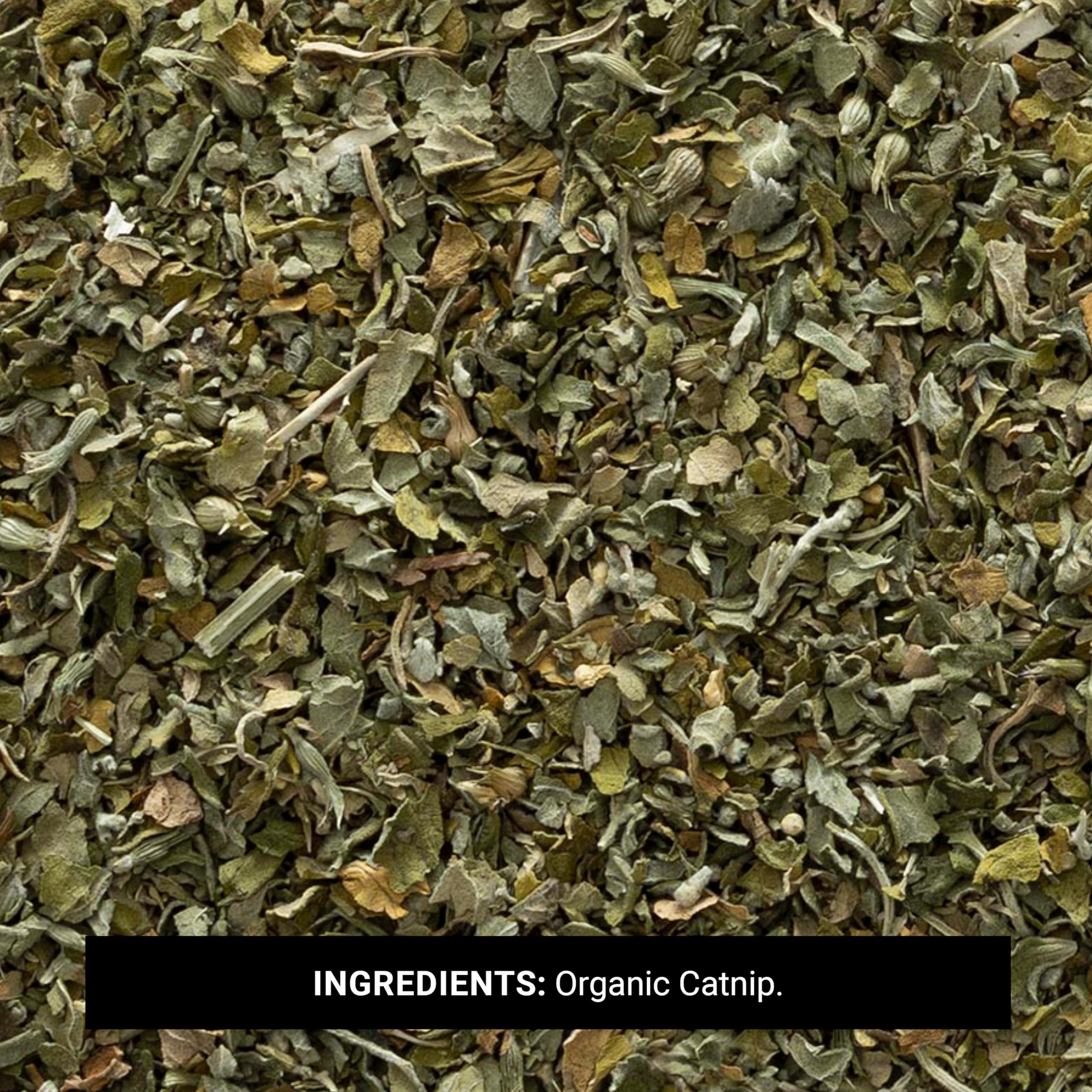 Cut Organic cataire Feuille Tamis̩e Flower - Frontier Natural Products