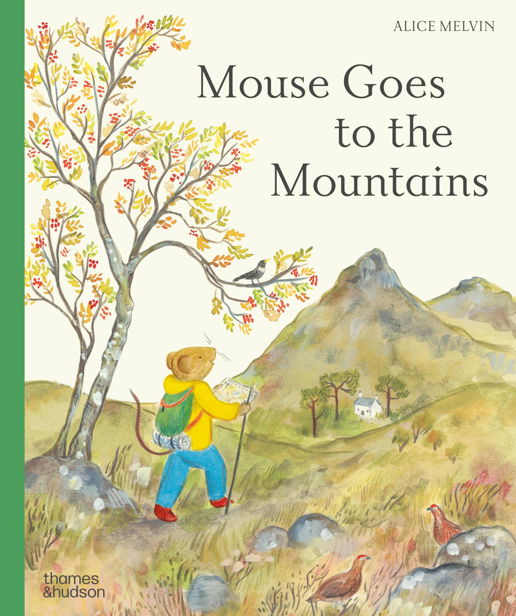 Mouse Goes to the Mountains: A Hike Through Nature (Mouse’s Wood series)