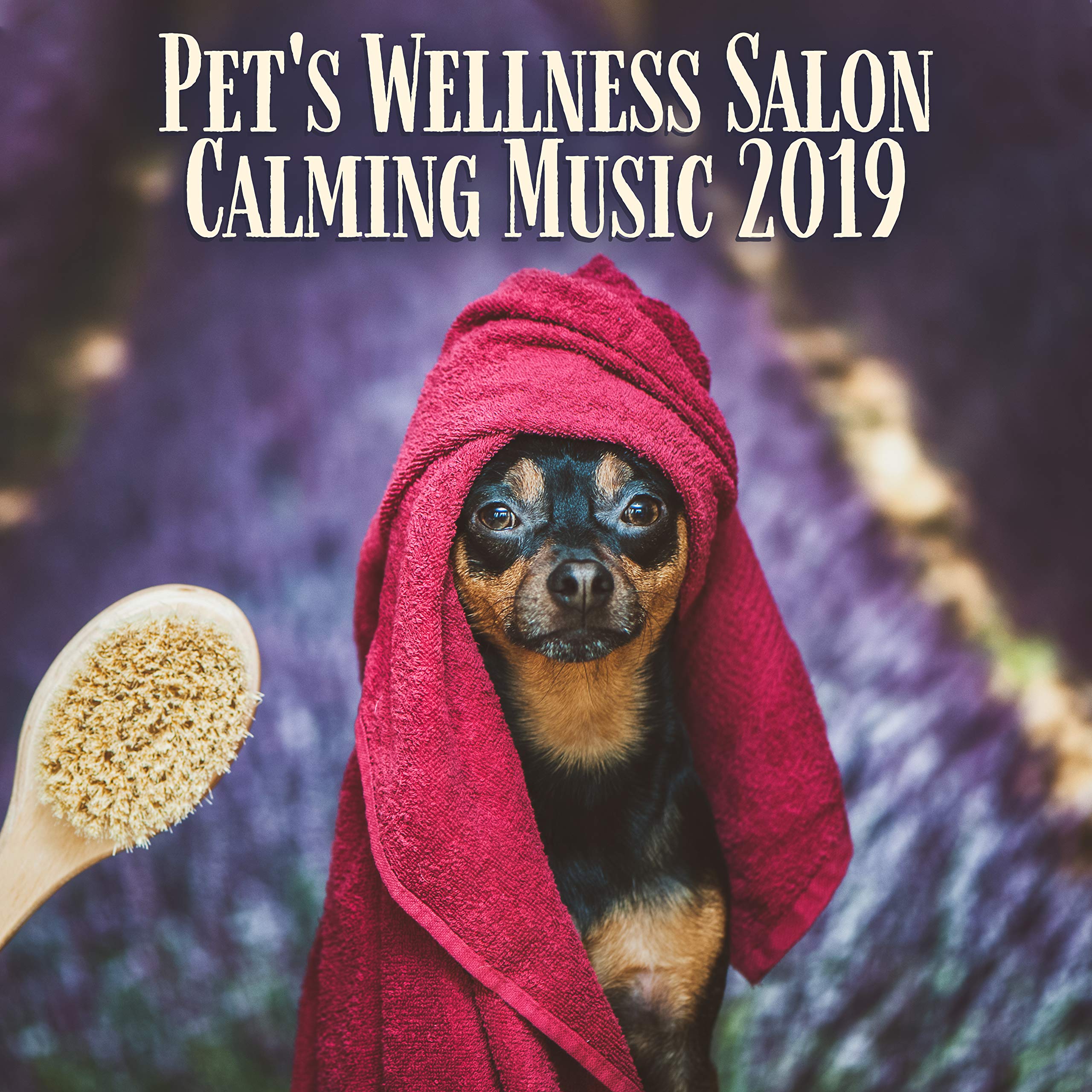 Academia de Música para Animais, Calm Pets Music Academy