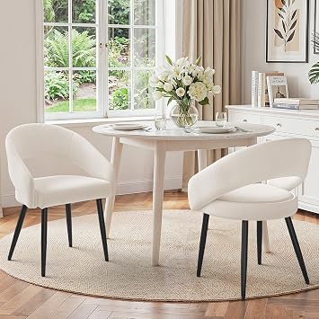 LUE BONA Modern Dining Chairs Set of 2, Beige
