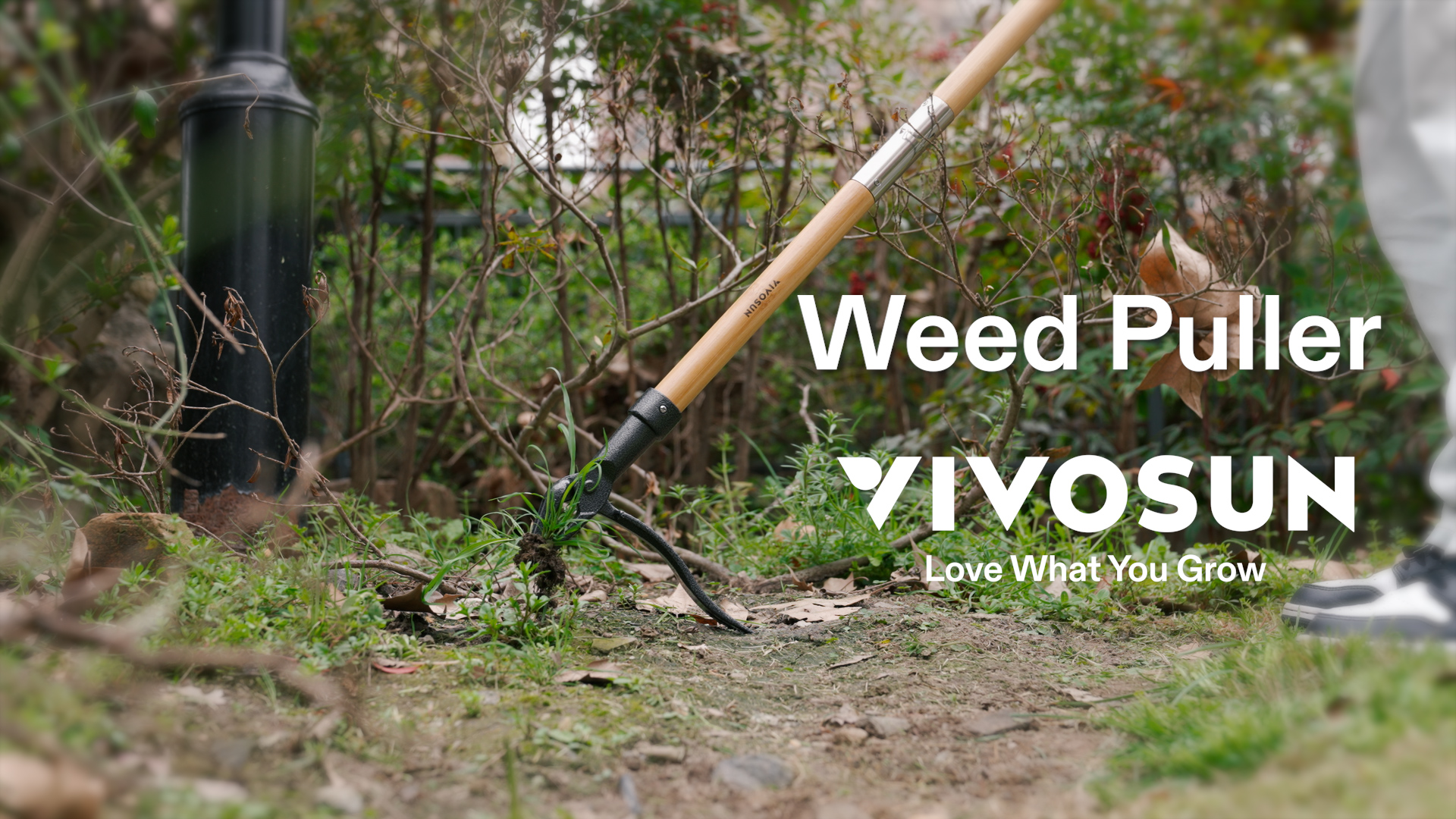 Amazon.com : VIVOSUN 47