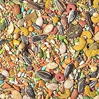 Vista 13 de Wild Harvest Advanced Nutrition - Cacatúa 8 libras, mezcla de semillas, granos y verduras