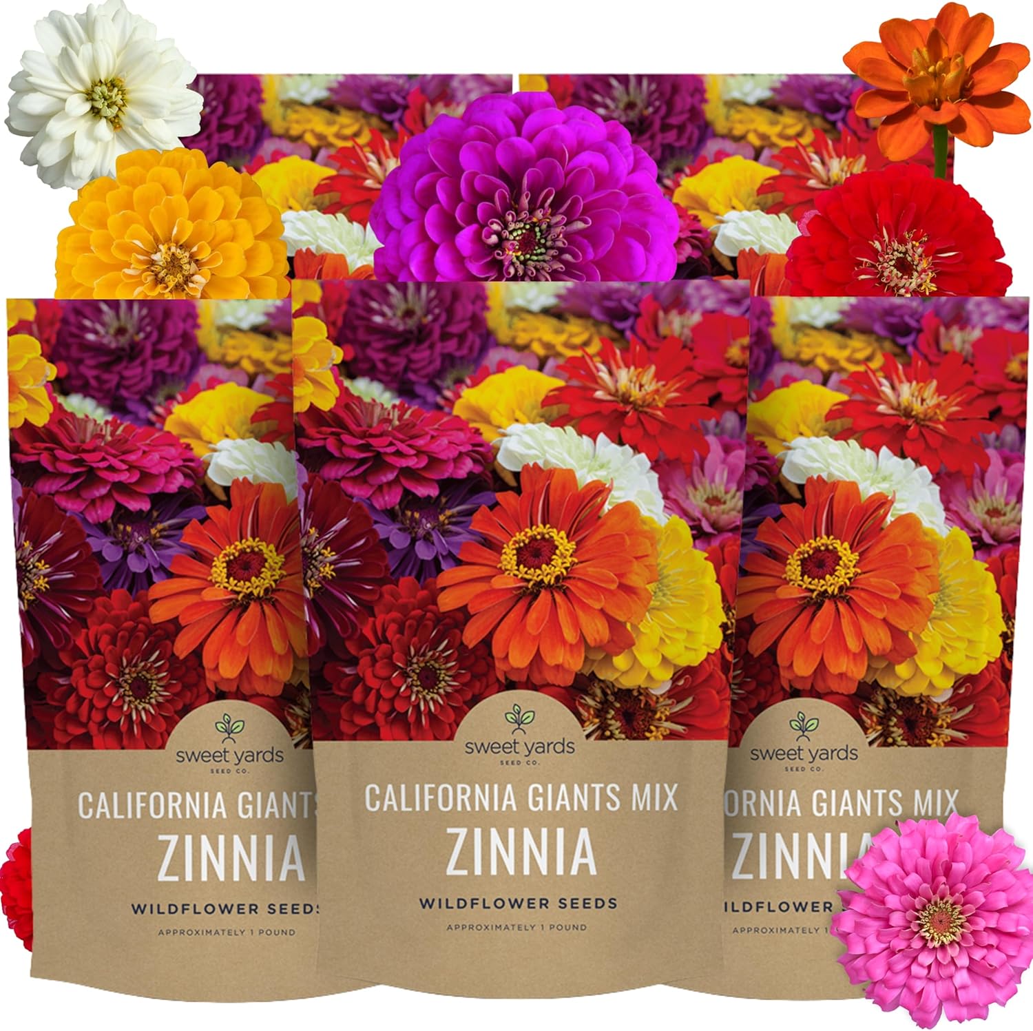 Bulk Zinnia Seeds - California Giants Mix - 5 Pounds - Over 240,000 Flower Seeds - Mixed Colors and Large Blooms