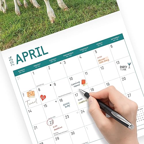 Miniatura 5 de Bright Day - Calendario mensual de pared 2024 de animales bebés, 12 x 12 pulgadas