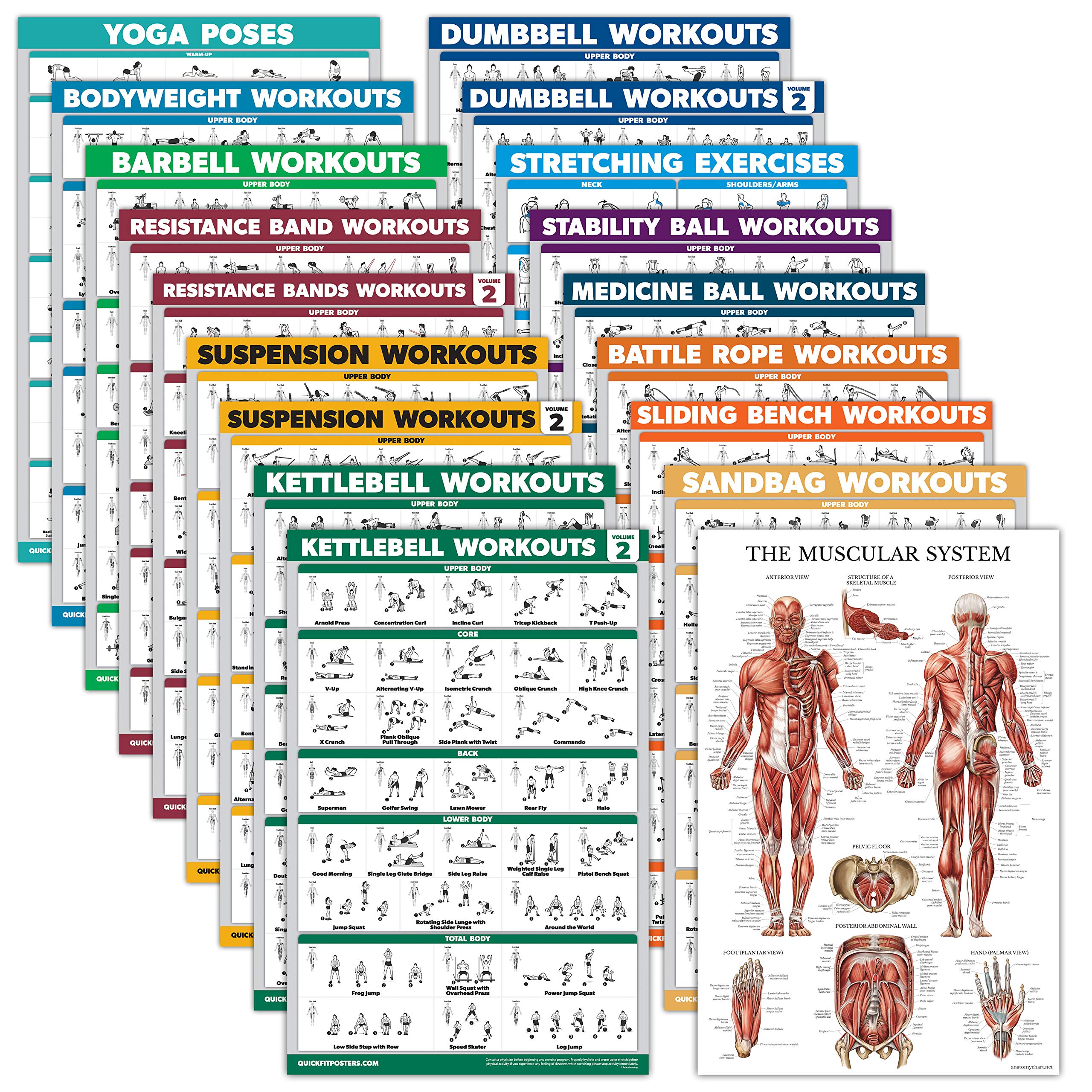 18 Pack - Exercise Poster Set: Dumbbell, Suspension, Kettlebell, Resistance Bands, Stretching, Bodyweight, Barbell, Battle Rope, Yoga, Exercise Ball, Muscular and More (LAMINATED, 18" x 27")-picture-22