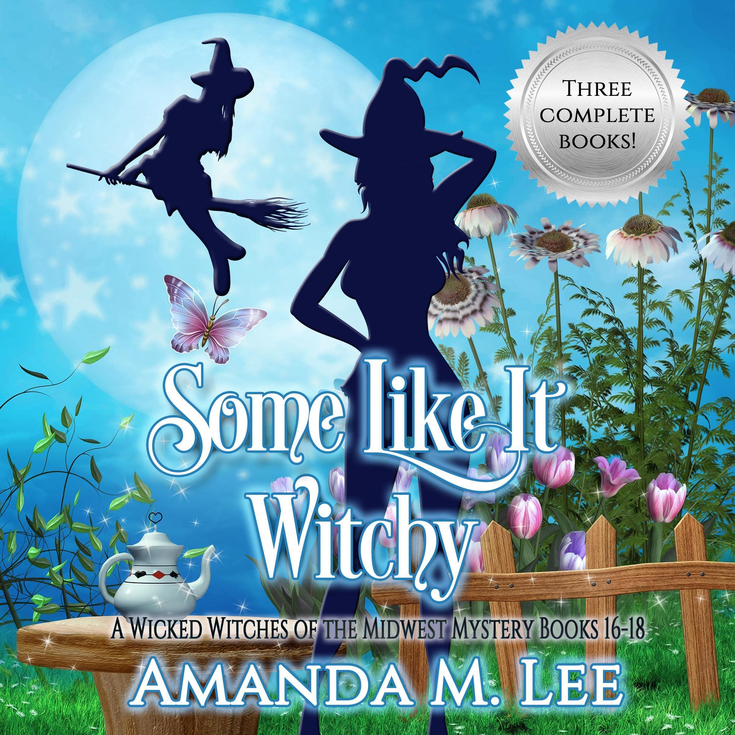 Cover art for Some Like It Witchy
