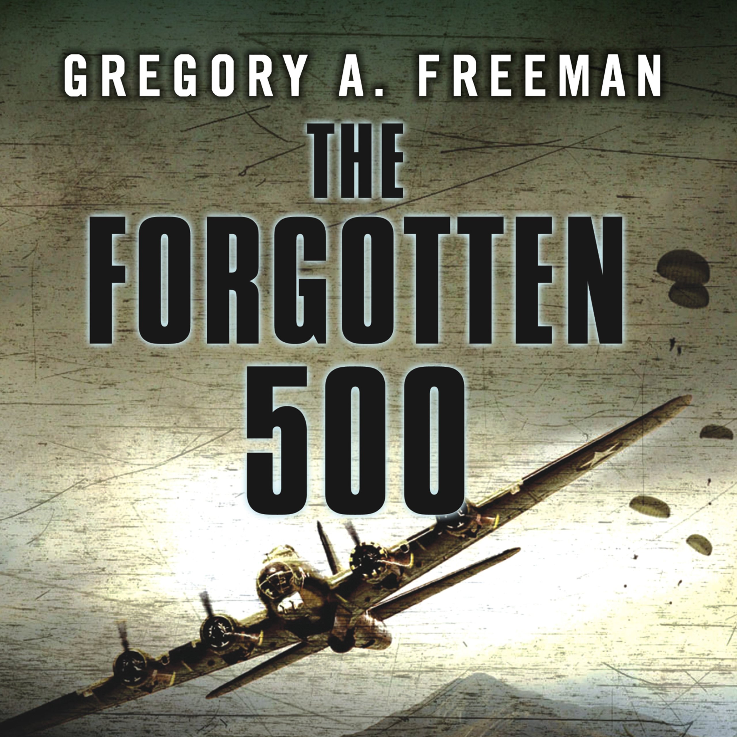 Cover art for The Forgotten 500