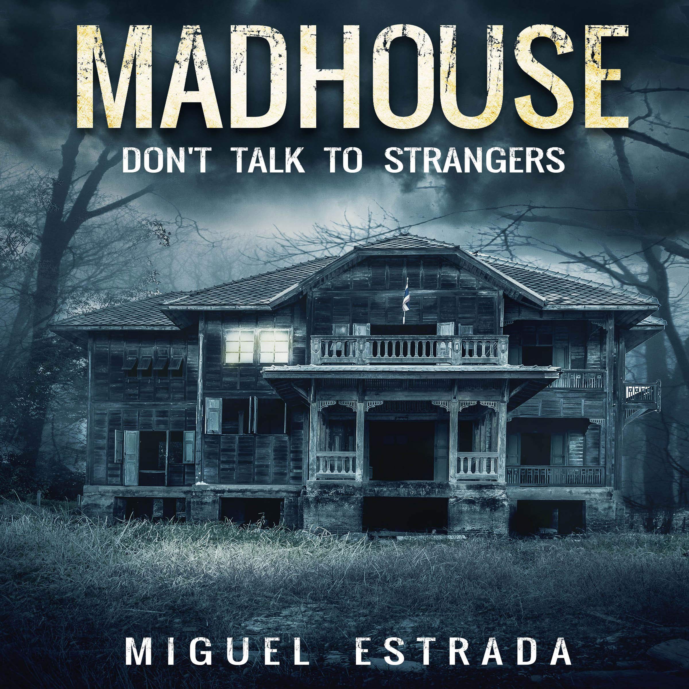 Cover art for Madhouse