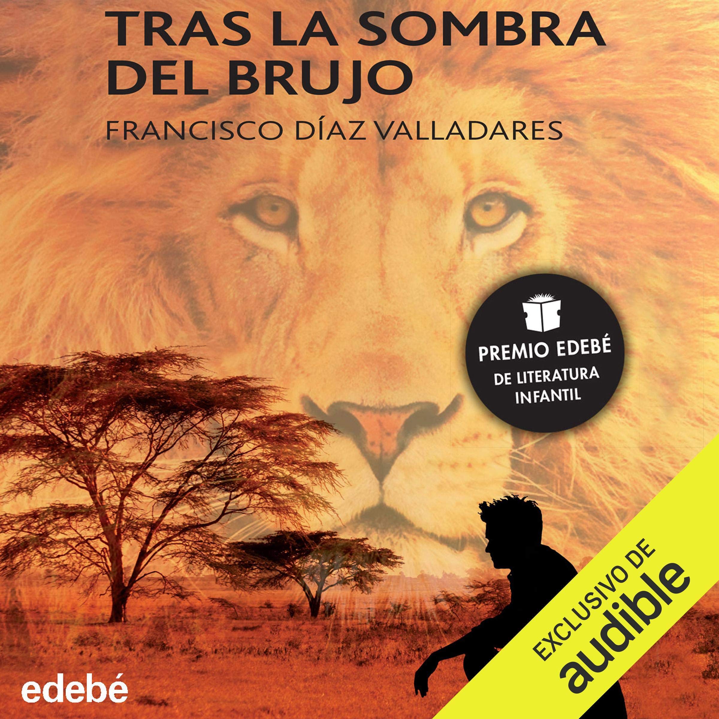 Cover art for Tras la sombra del brujo [Behind the Shadow of the Sorcerer]