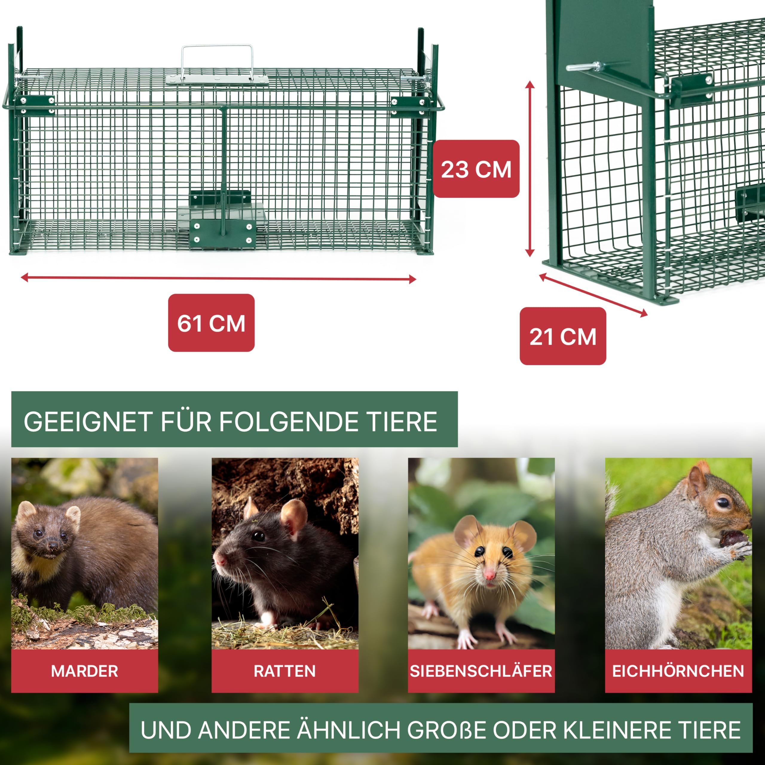 ITA Lebendfalle 5067 61x23x21 cm - Wetterfeste & Zuverlässige Falle für Ratten, Marder, Siebenschläfer und ähnlich große Tiere - Rattenfalle Marderfalle - Fertig Montiert, Bissschutz, Tragegriff