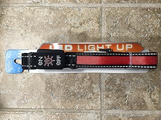 master paws bully chews