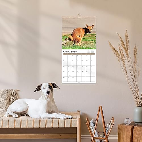 Miniatura 6 de Calendario de escritorio 2024, enero de 2024 a diciembre de 2024, calendario de escritorio grande de 12 meses 2024, 17 x 12 pulgadas, calendario de