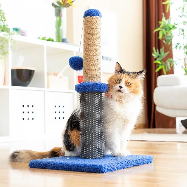 Foto 8 de 8 de InnovaGoods® Poste rascador masajeador con Pelota para Gatos Miausage