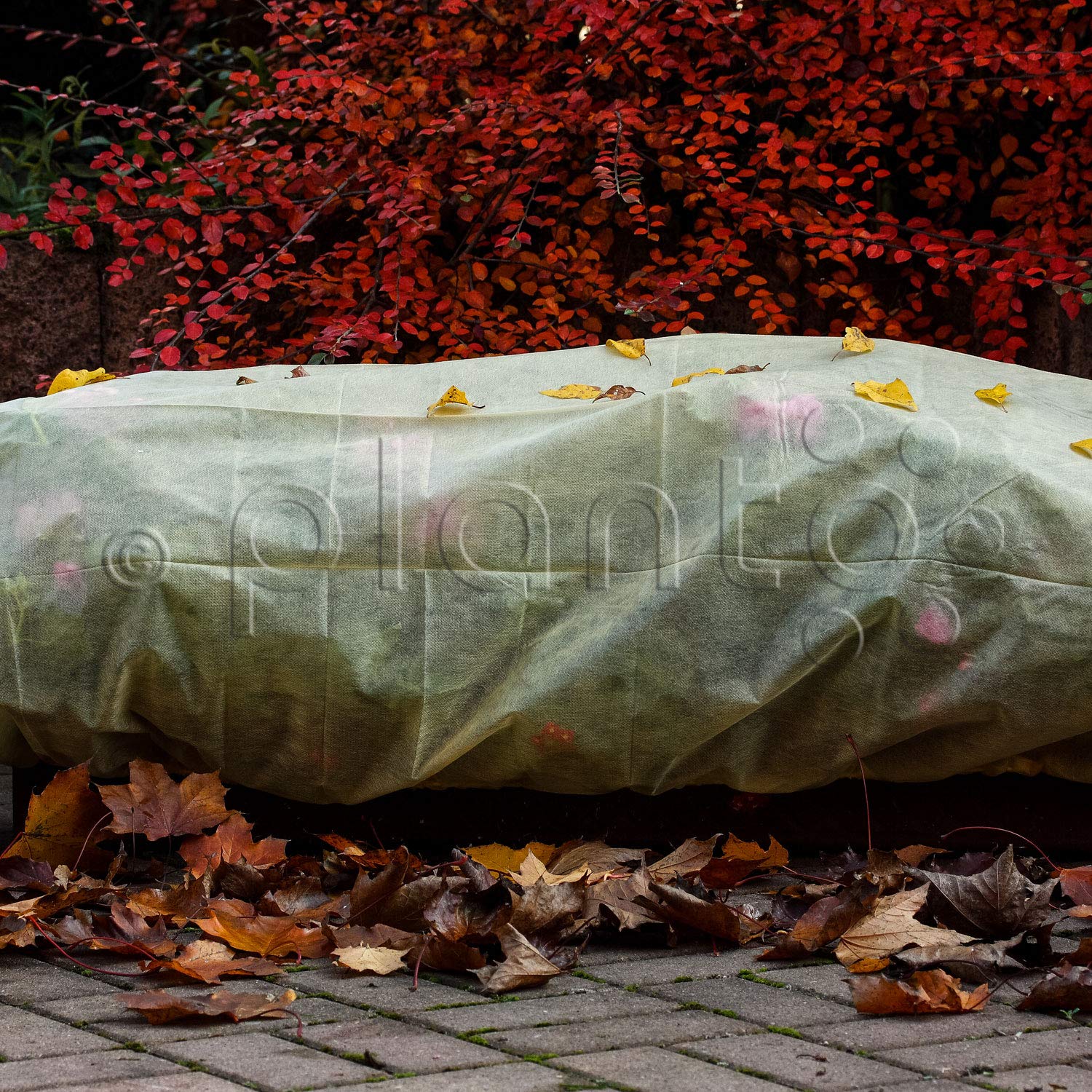 planto Bio Blumenkasten-Hauben, Frostschutz Hauben, Nie mehr zerstörte Blütenpracht im Blumenkasten! Schutz für Balkonpflanzen vor leichtem Frost, Wind. (2 Pack = 4 Stück)