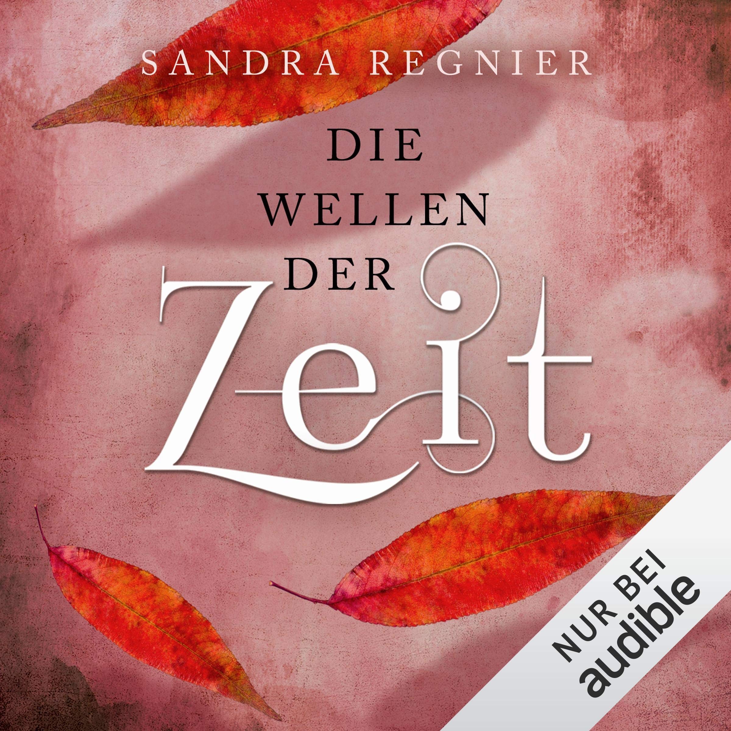 Cover art for Die Wellen der Zeit