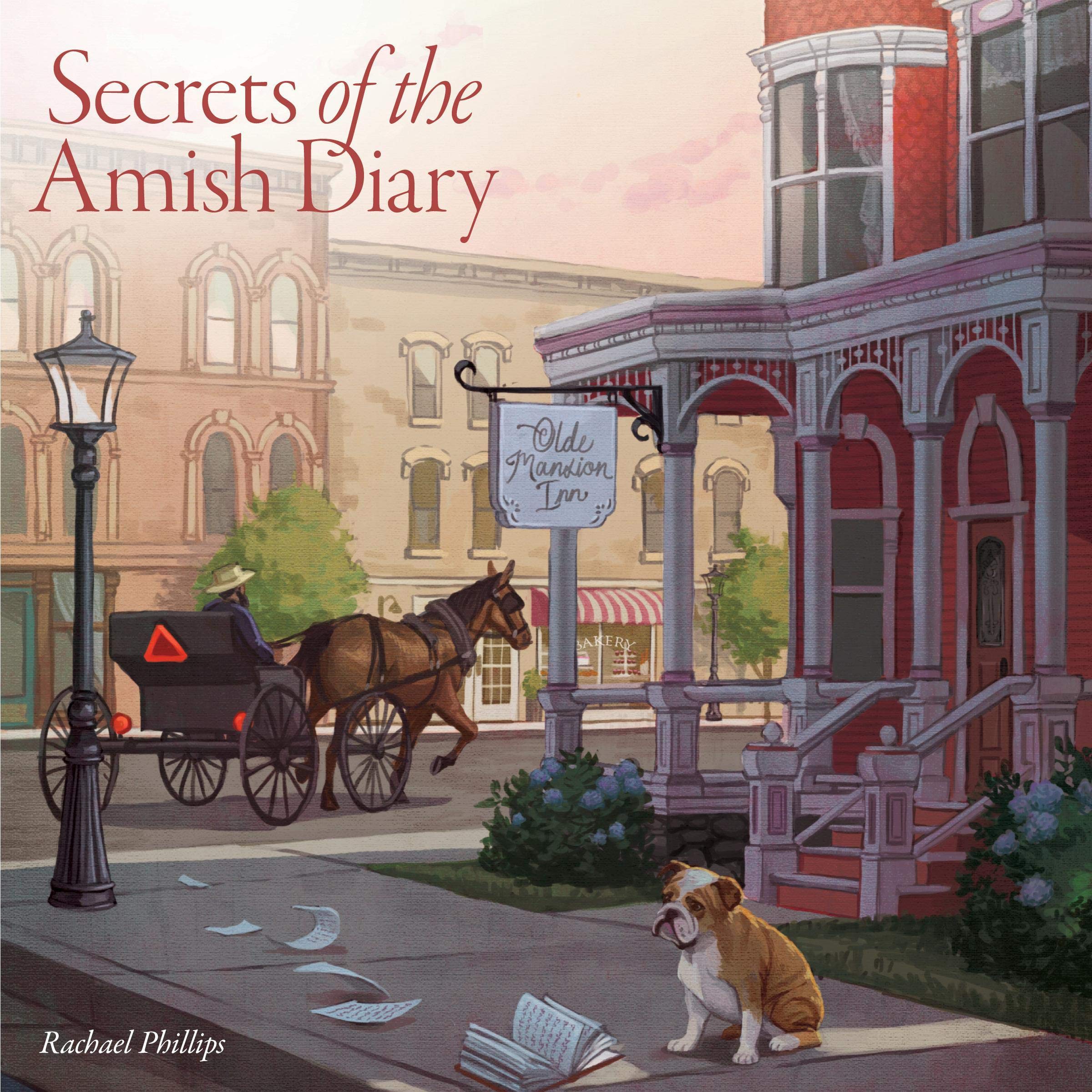 Cover art for Secrets of the Amish Diary