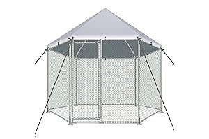 Outdoor Aviary for Large Birds: Hexagonal Chicken Coop for Multi-Animal Habitat