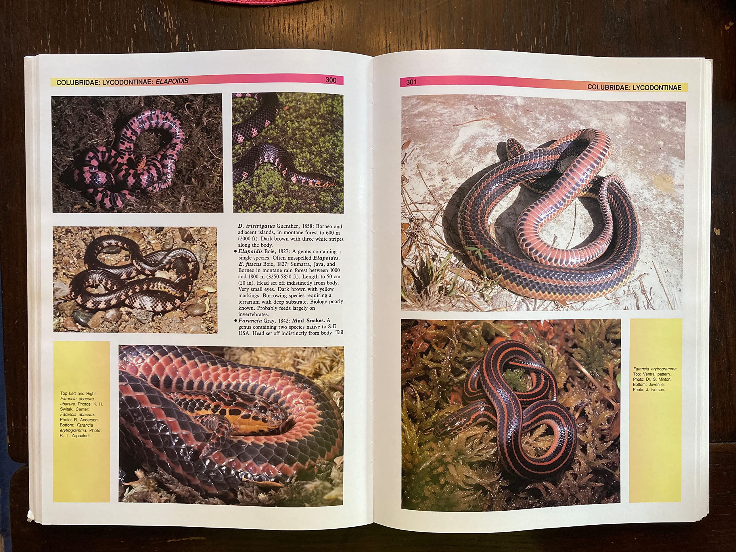 The Atlas of Snakes of the World