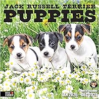 Vista 43 de RED EMBER Calendario de pared 2025 con diseño de cachorros de 12 meses, 12 x 24 pulgadas, abierto, papel grueso y resistente, para regalo