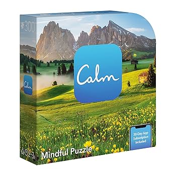 Amazon.com: Spin Master 300-Piece Calm Jigsaw Puzzle for