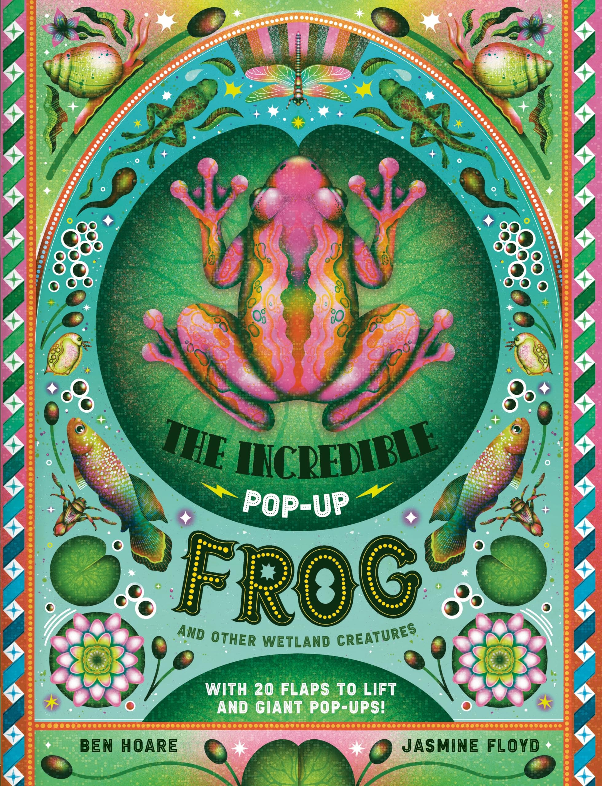 その他 sasanqua e.p. / flap+frog The Incredible Pop-up Frog: And other Wetland Creatures: Amazon.co