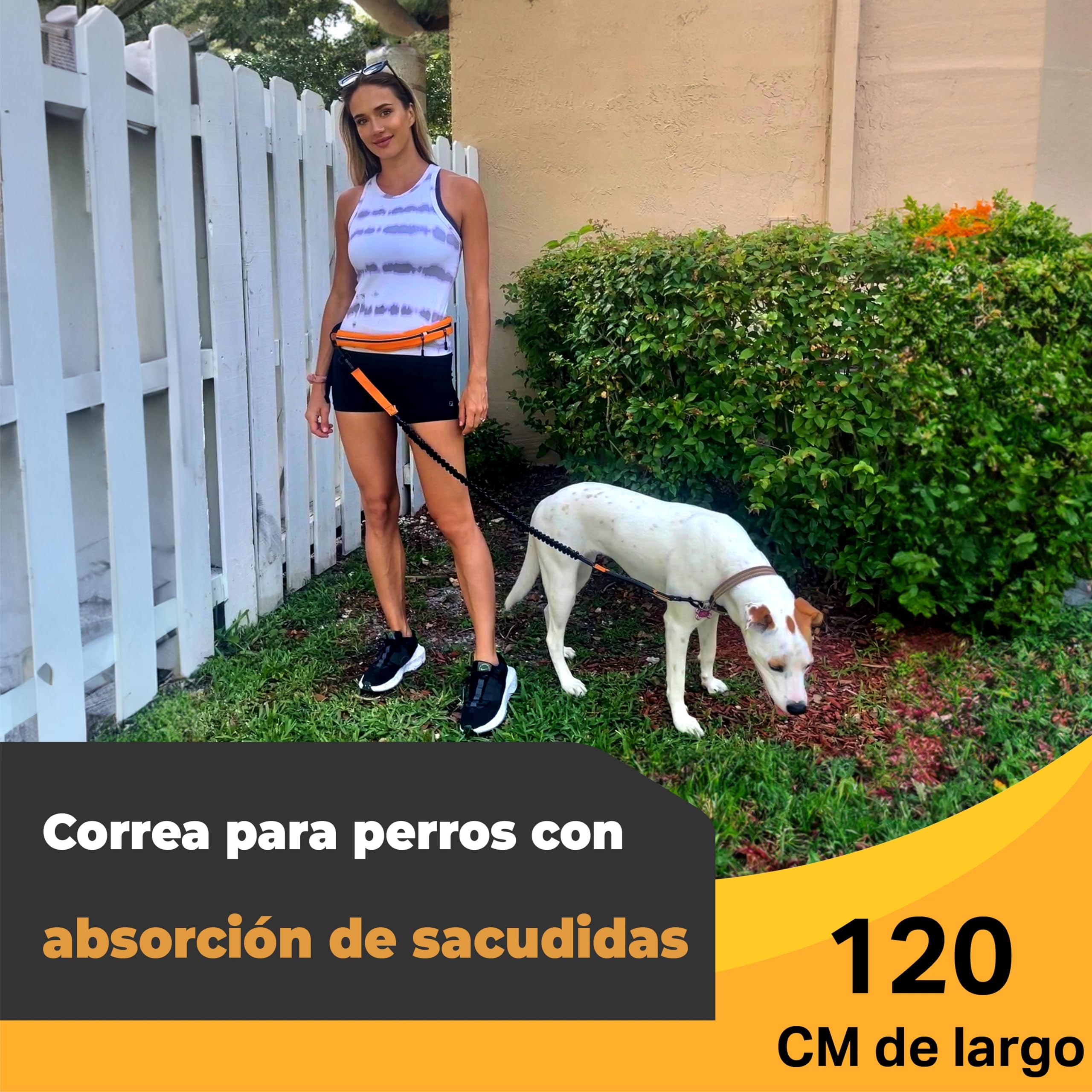 Correa Perro Cintura - Correa Manos Libres Perro - Cinturon Canicross con Correa Canicross - Correa Perro Correr