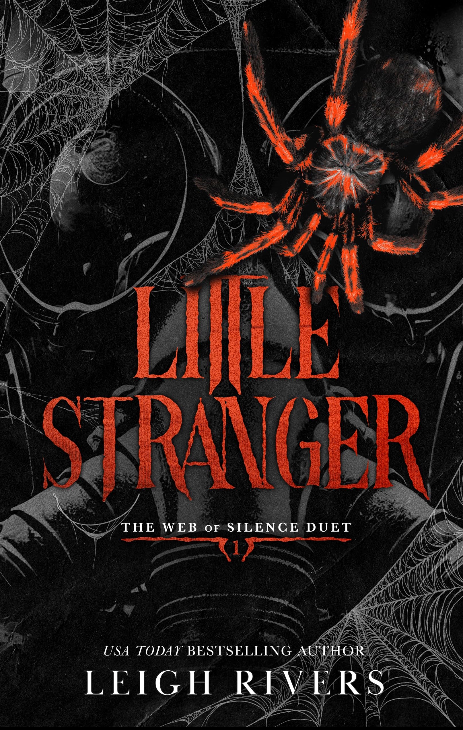 Little Stranger: A Dark Taboo Romance (The Web of Silence Duet Book 1)