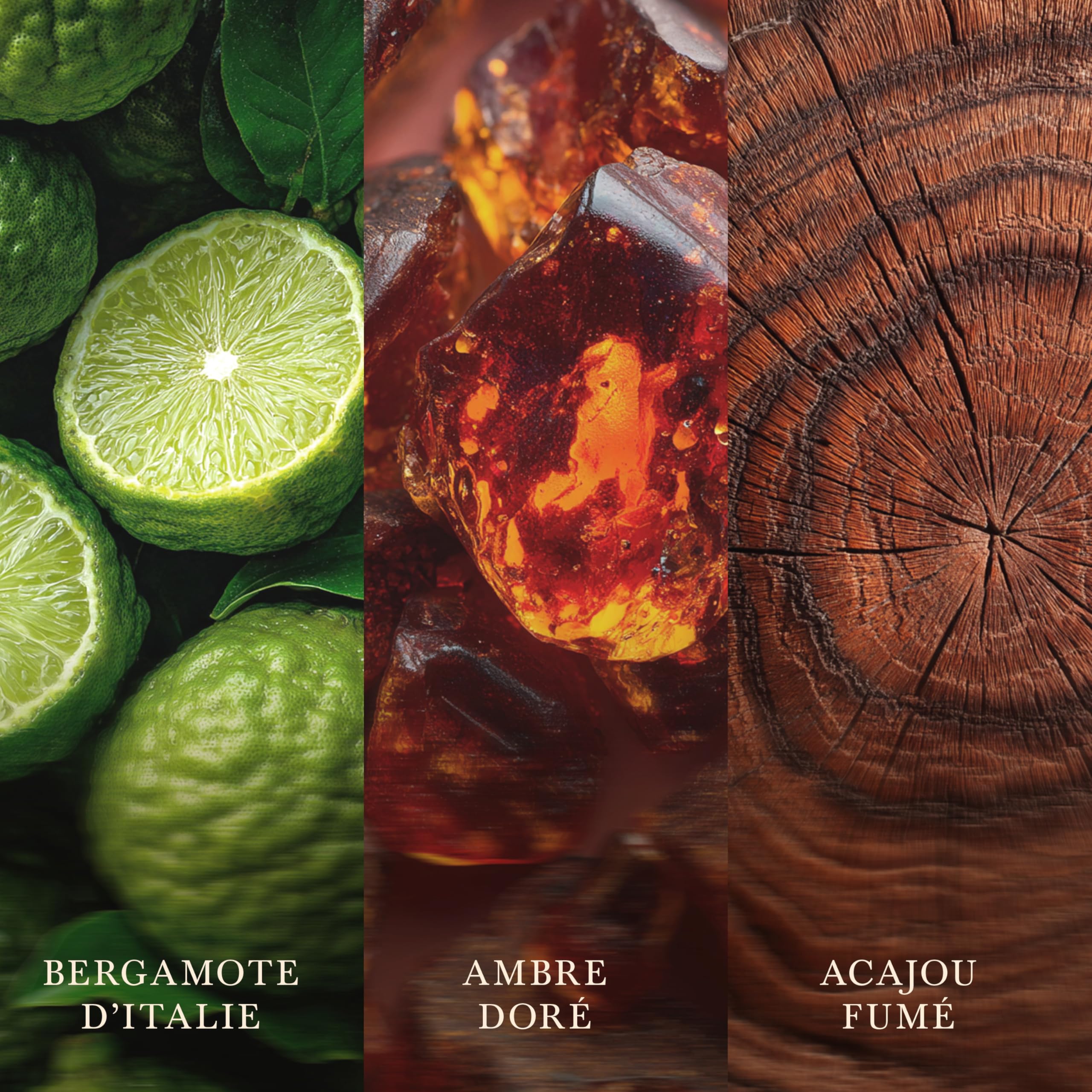 WoodWick Ellipse Bougie parfumée | Fireside | avec mèche crépitante | Durée de combustion : jusqu'à50pk heures