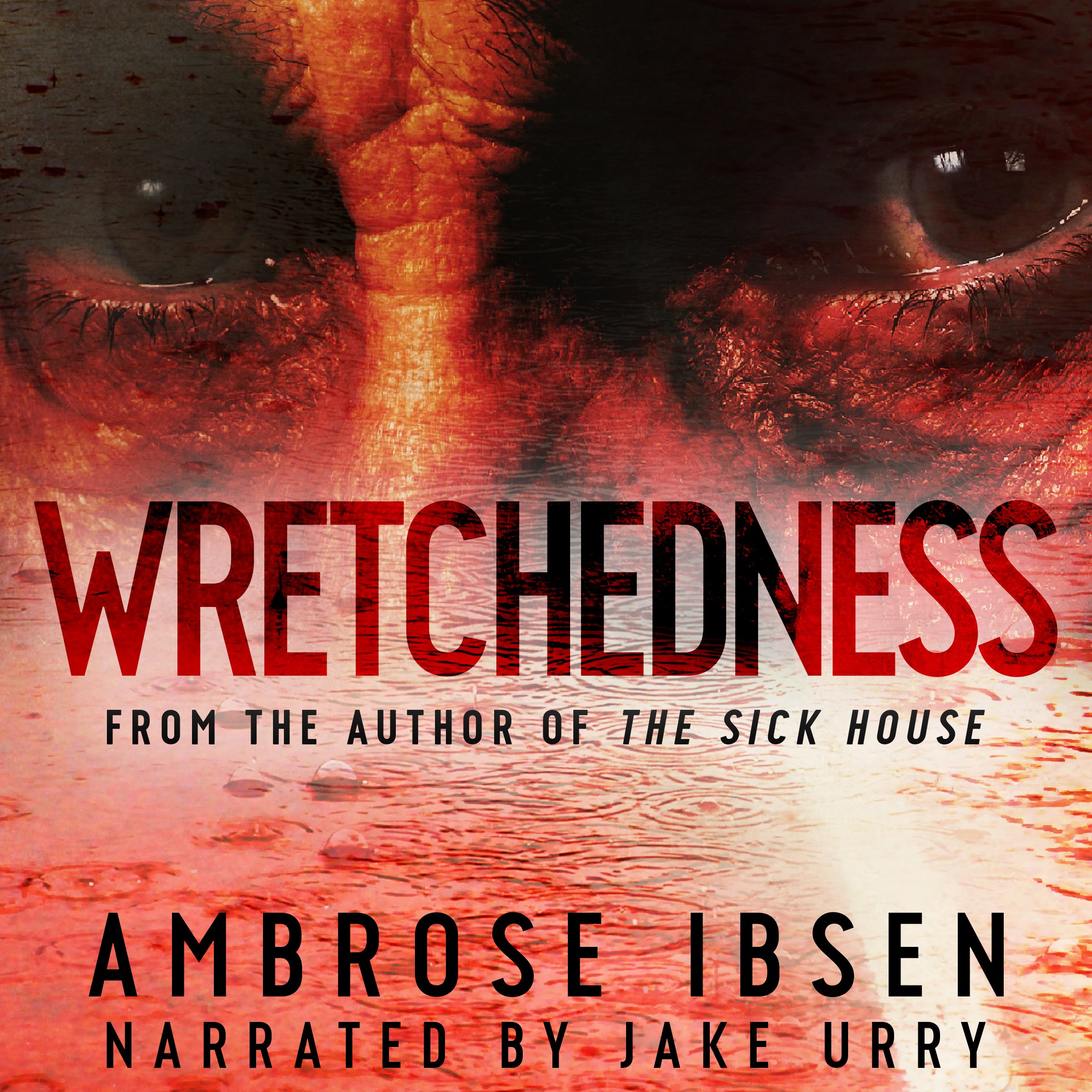 Cover art for Wretchedness