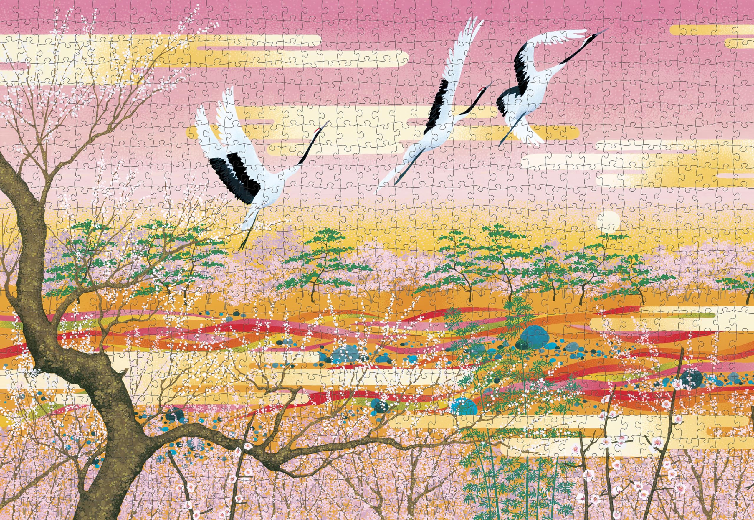 Amazon.com: Pomegranate 1000-Piece Jigsaw Puzzle for Adults