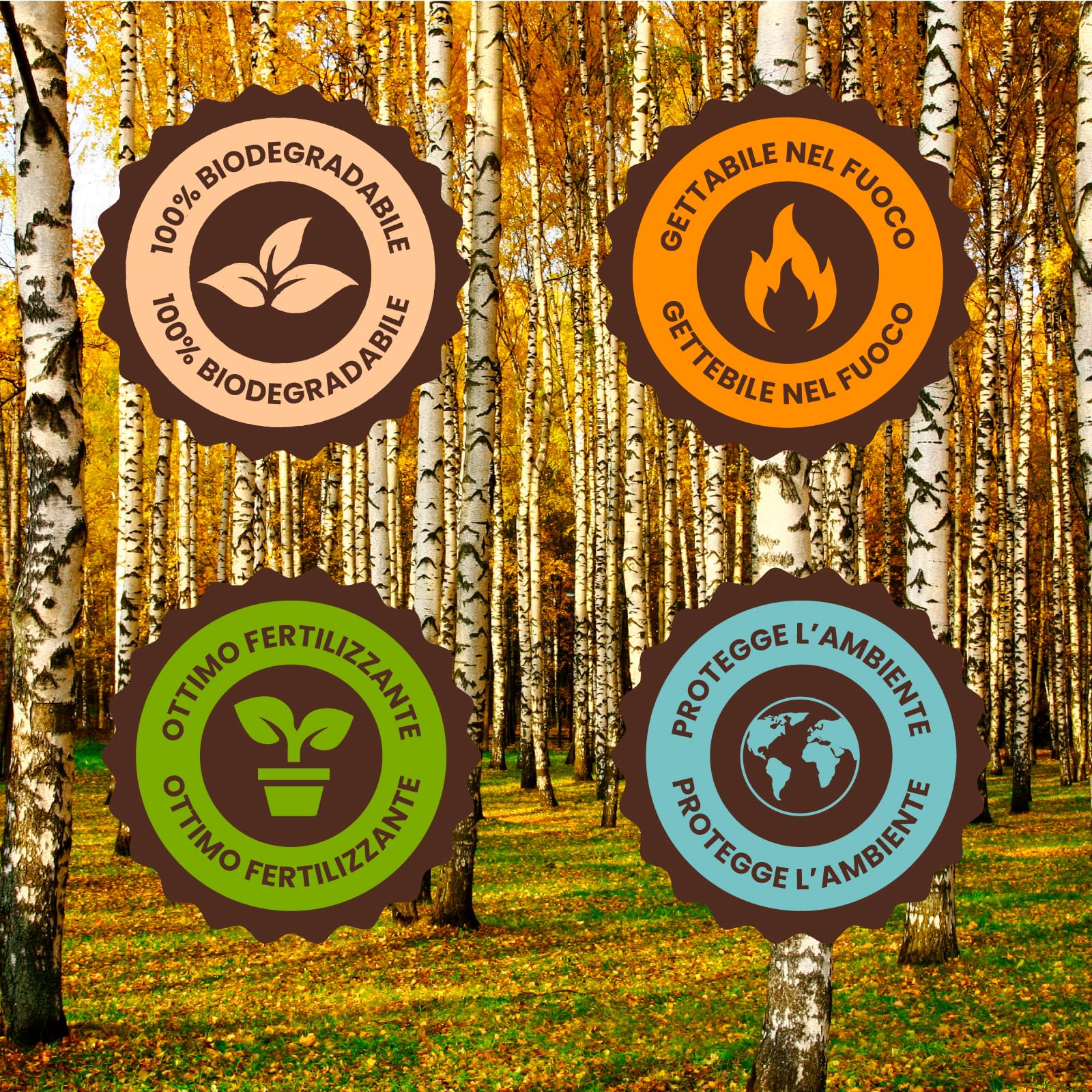 100 Coltelli Ecologici Baciato Caffè in Legno di Betulla Monouso 100% Naturali Biodegradabili e Compostabili Posate Usa e Getta