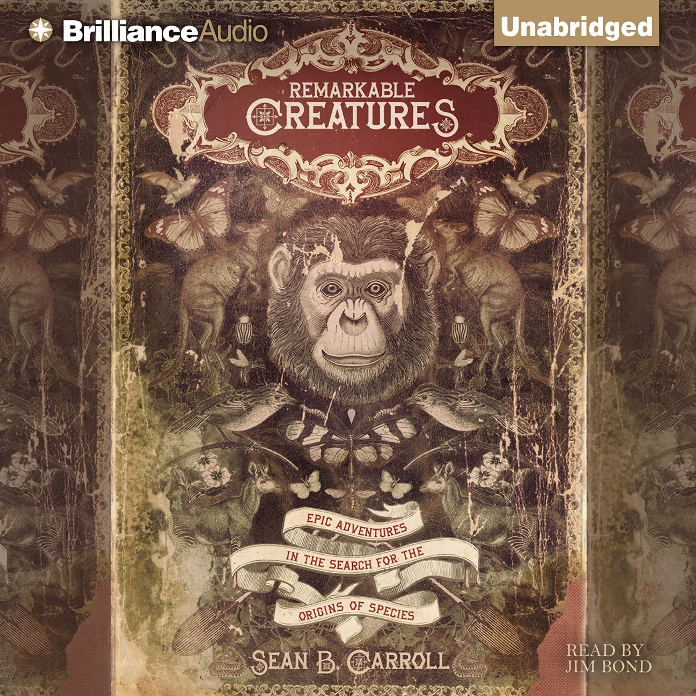 Cover art for Remarkable Creatures
