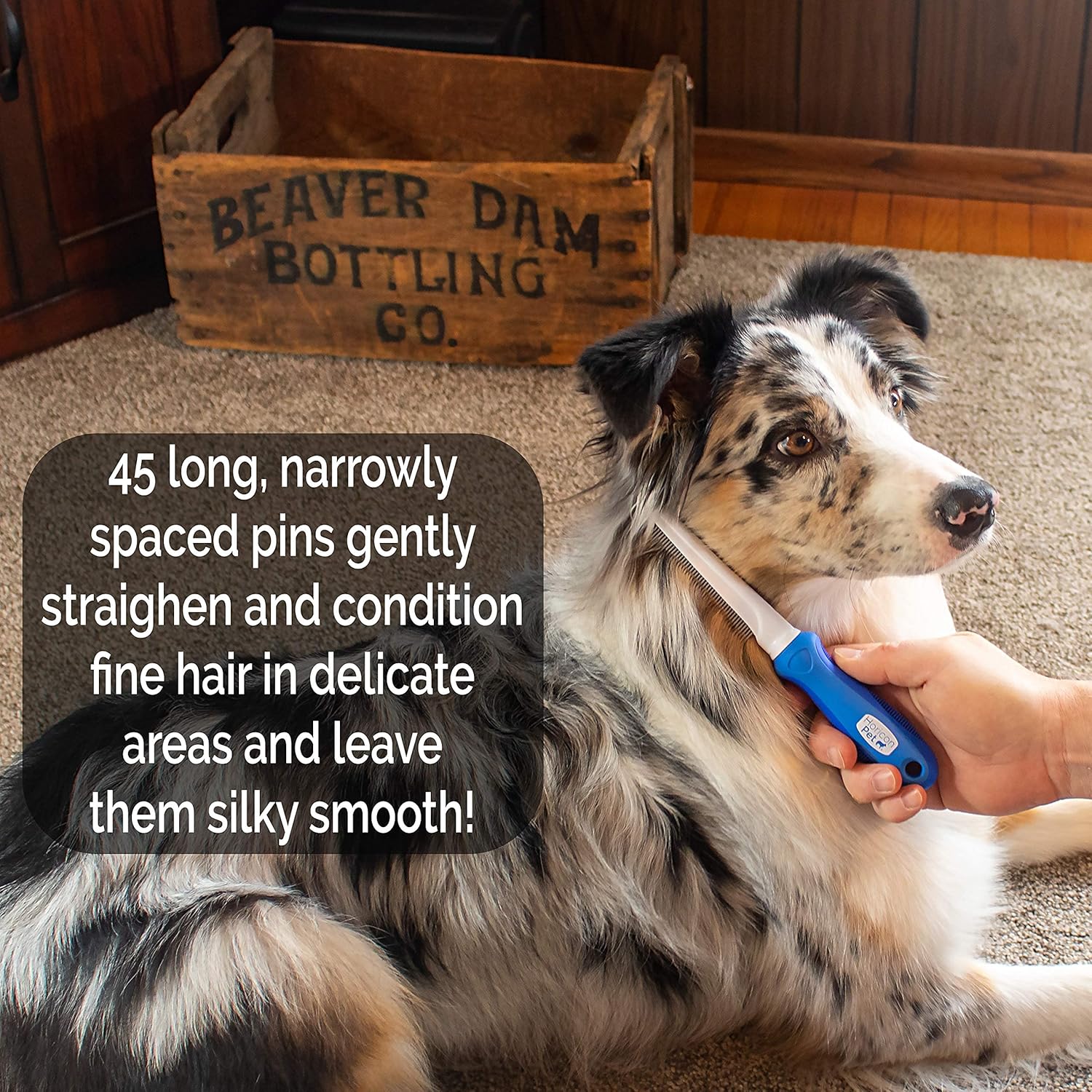 Horicon Pet Detangling and Grooming Dog Comb Set for Dogs, Cats, Small Animals : Pet Supplies