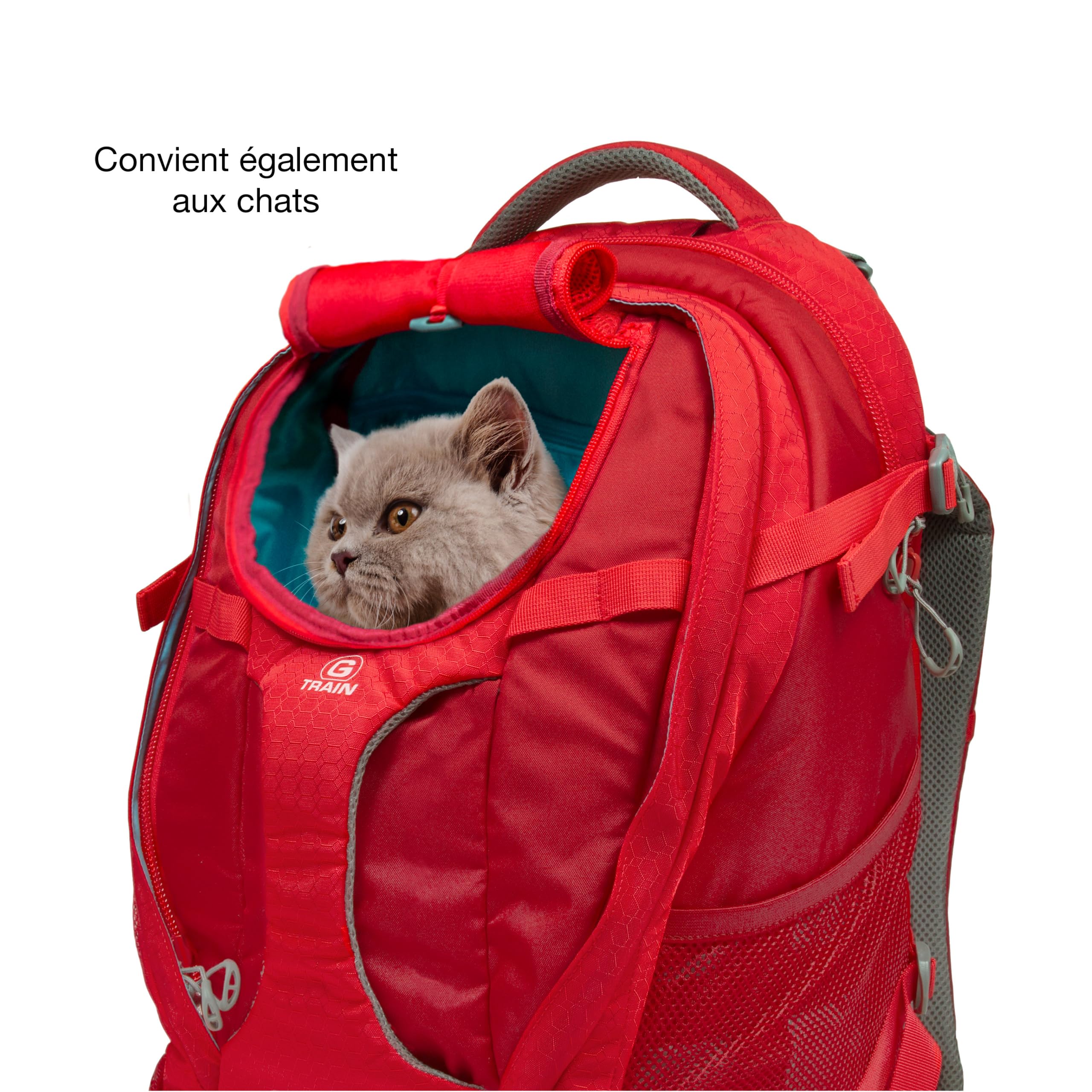Kurgo G-Train Sac à Dos de Transport pour Petits Chiens et Chats, Sac de Voyage et Randonnée avec Fond étanche, Rouge