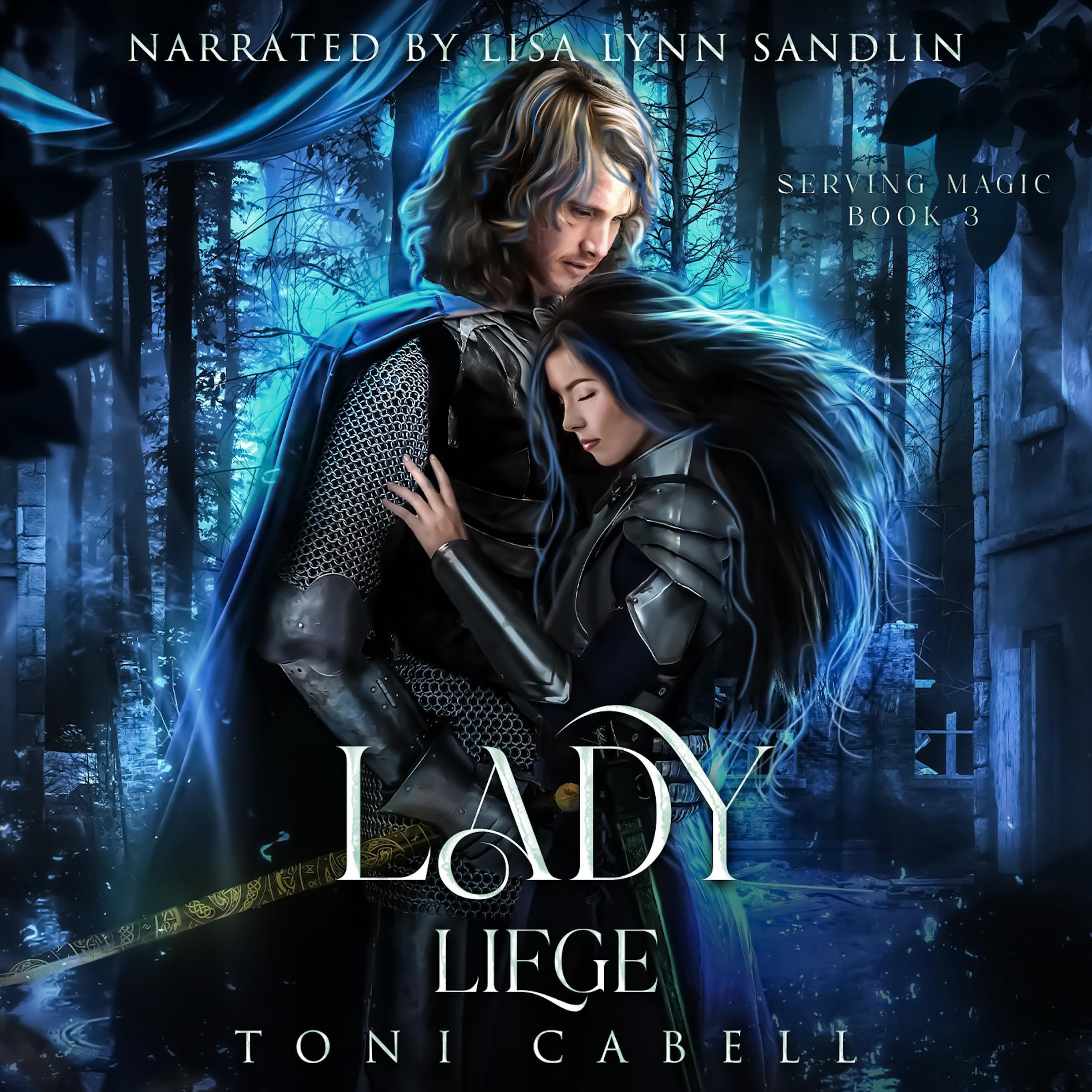 Cover art for Lady Liege