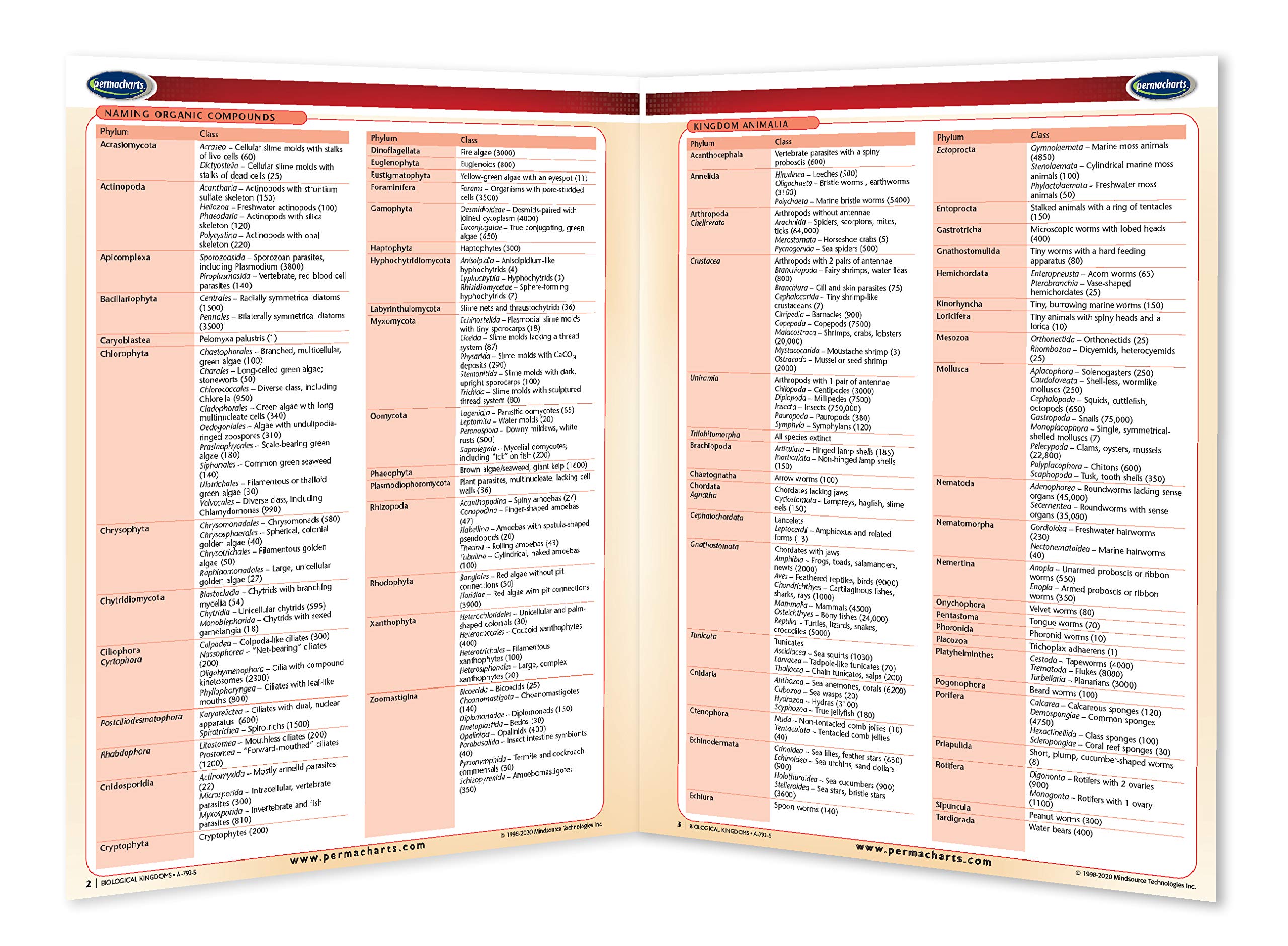 Biological Kingdoms - Biology Quick Reference Guide by Permacharts - Image 2