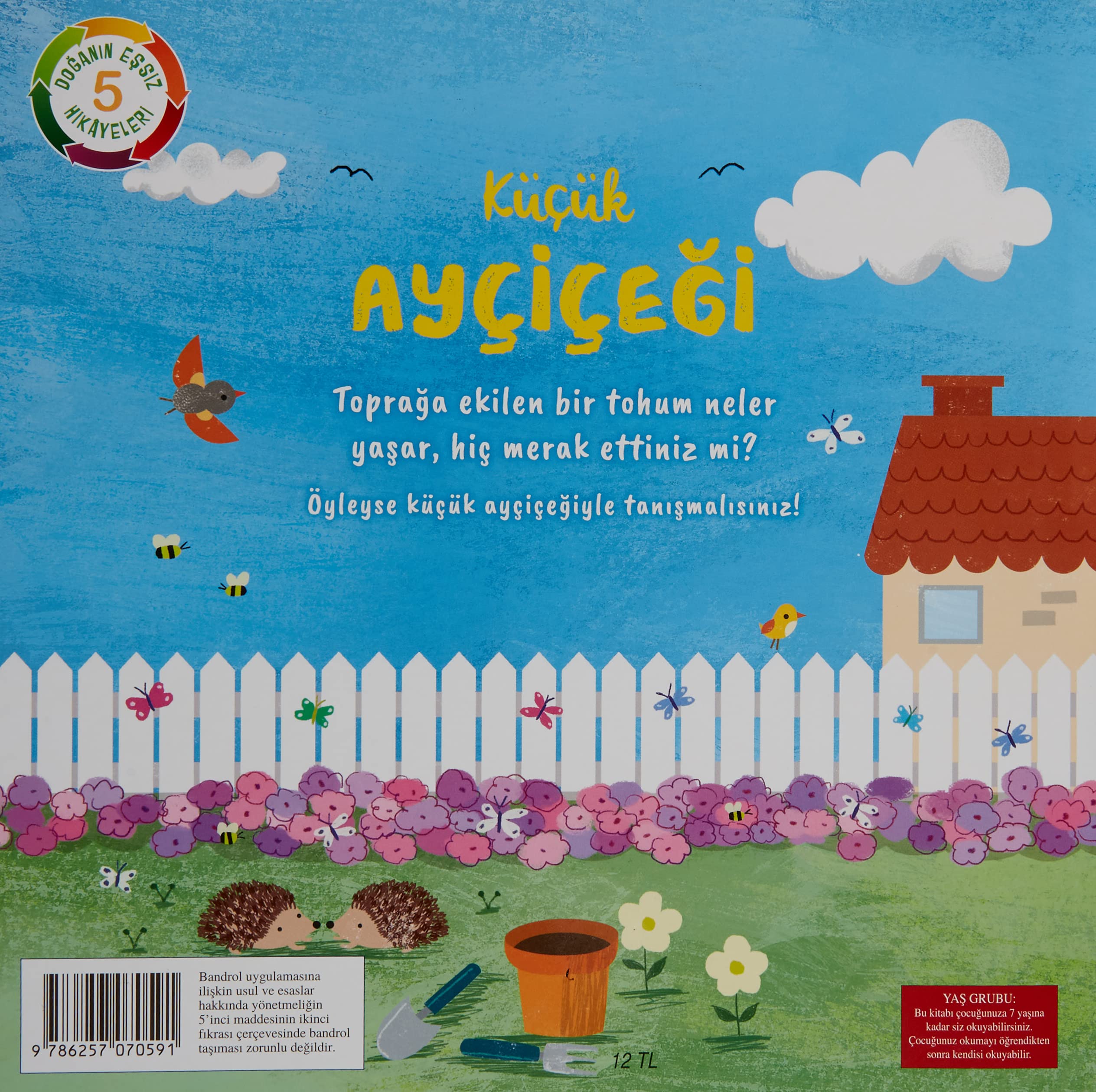 Kücük Aycicegi