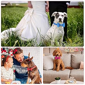 Jumpress Girl Dog Collar with Bow, Bling Female Bowtie Dog Collar for Puppy Small Dogs and Cats Daily Walking or Holiday Party (Hot Pink, Neck fit 9-12)