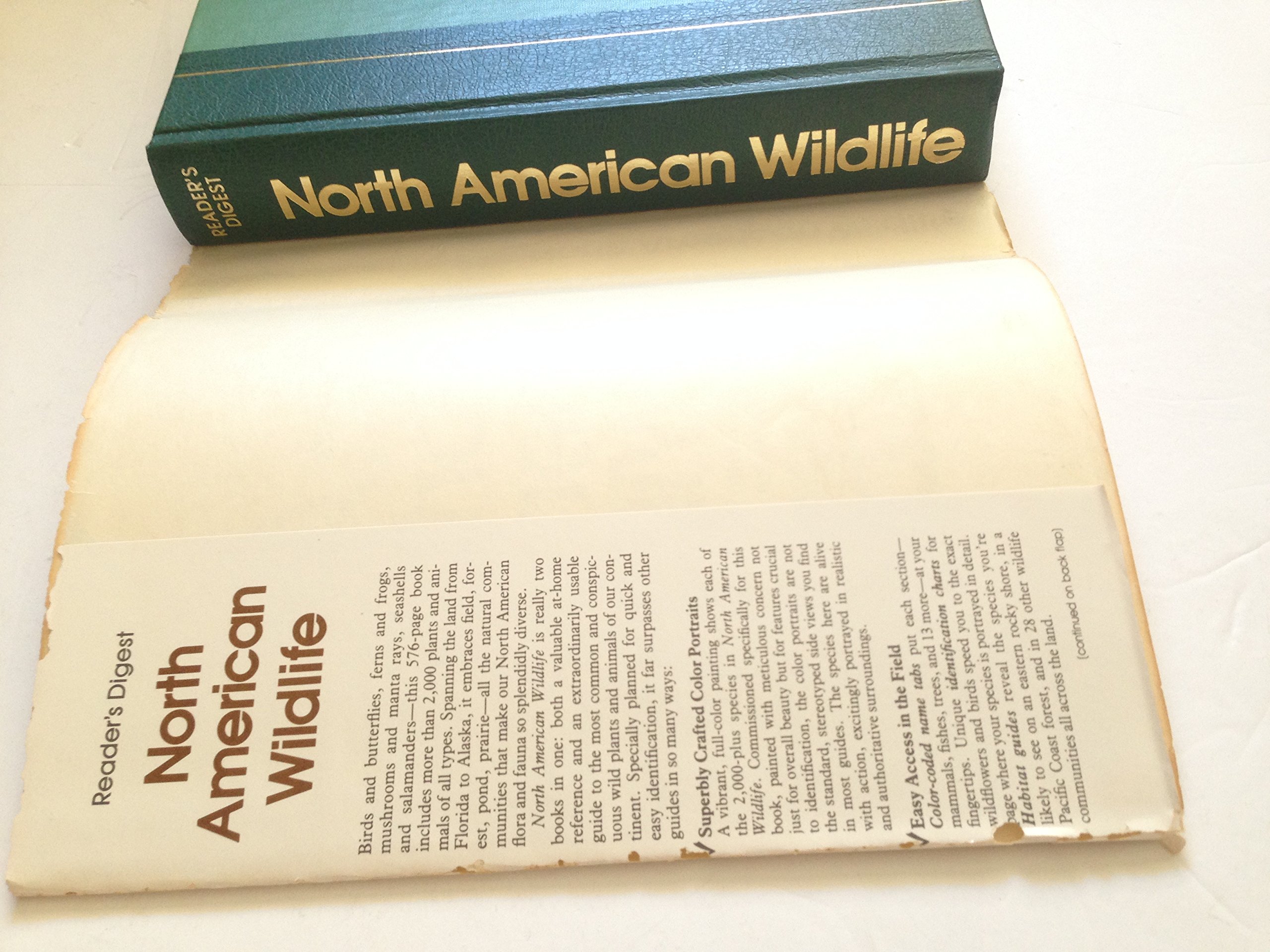 Reader's Digest North American Wildlife - Image 5