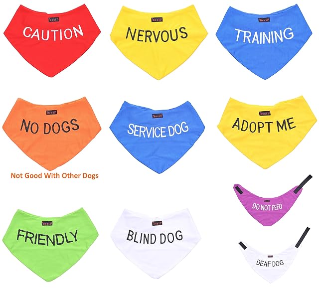 Foto 8 de 8 de Dexil Adopt ME (Necesito un Nuevo hogar) Collar para Perros SM L-XL codificado por Colores Amarillos y Juegos…