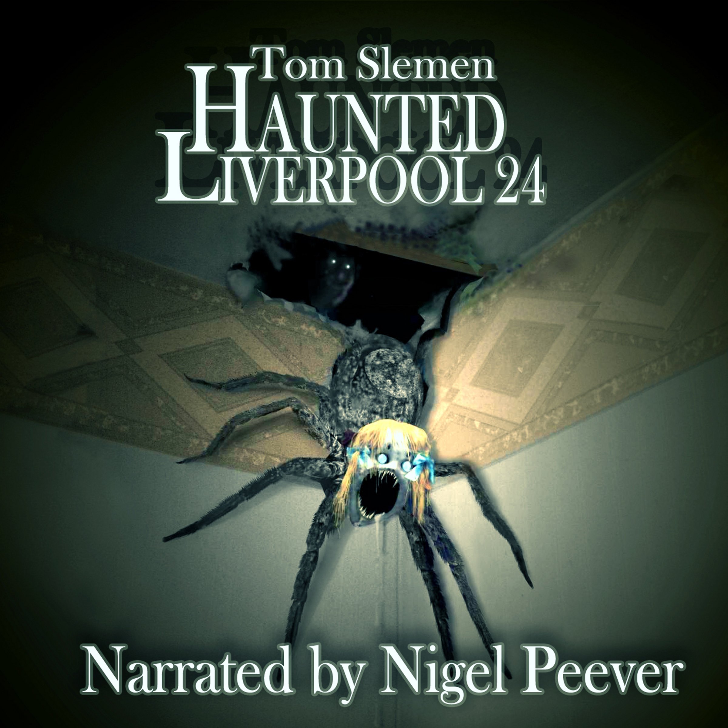 Cover art for Haunted Liverpool 24