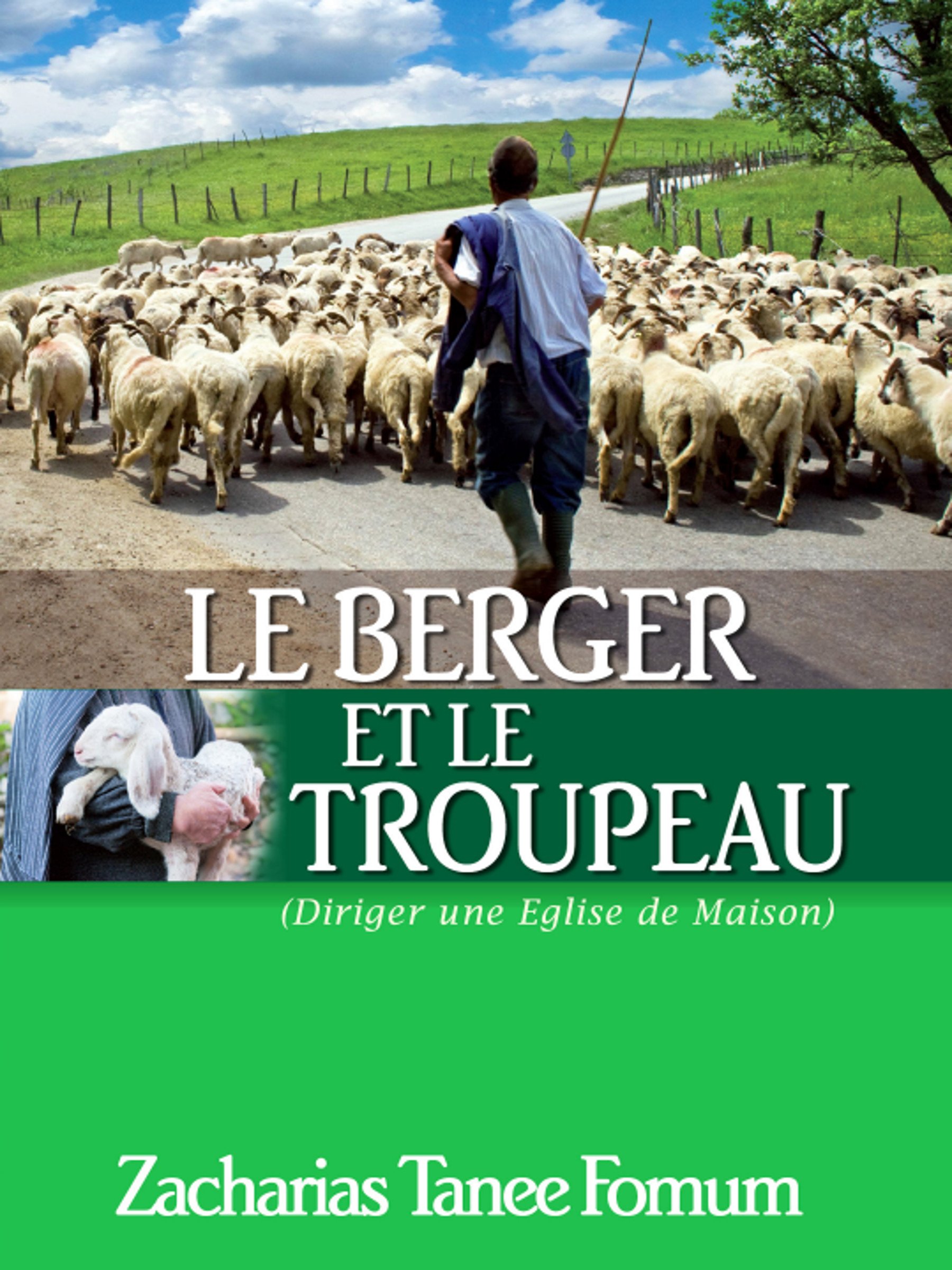 Le Berger et le Troupeau: Diriger Une Eglise de Maison (Diriger le peuple de Dieu t. 9) (French Edition)