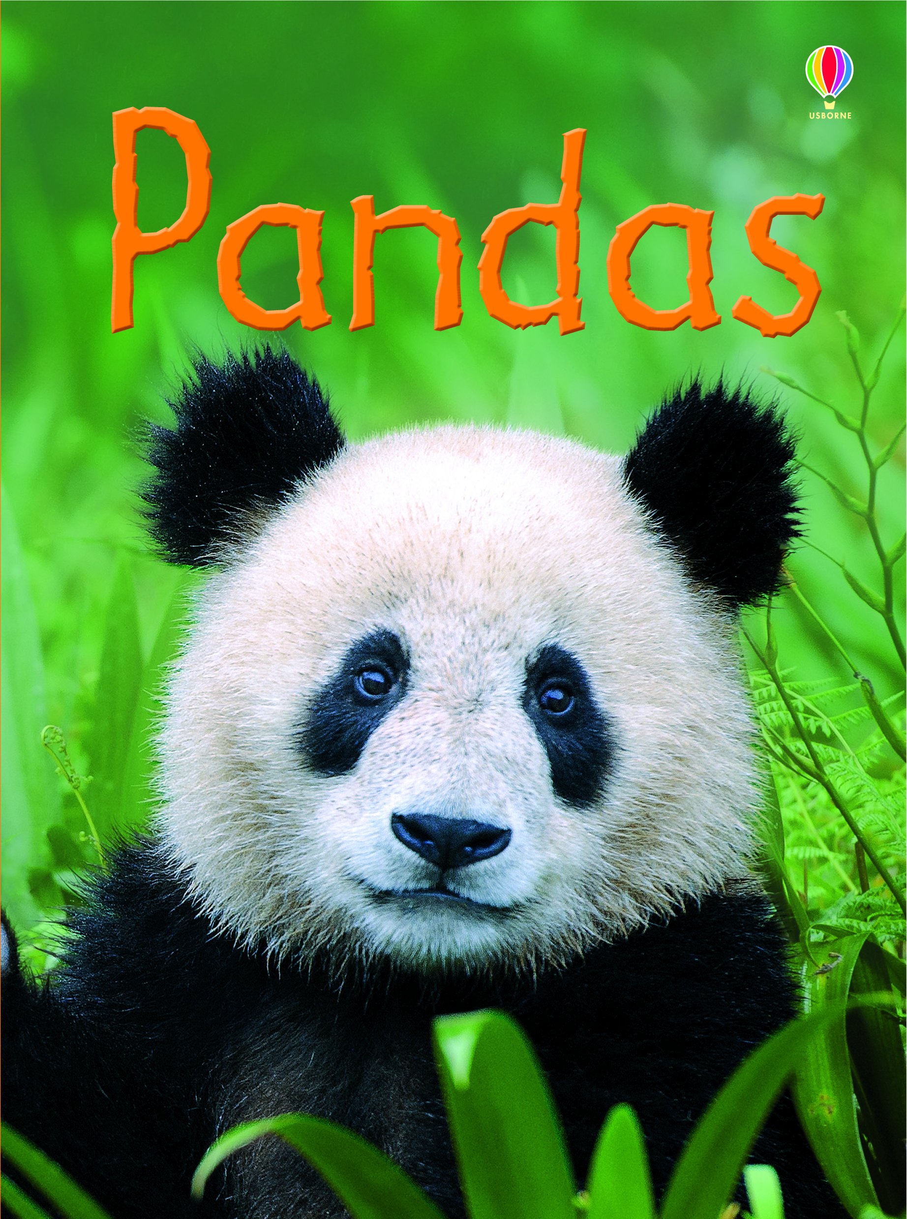 pandas