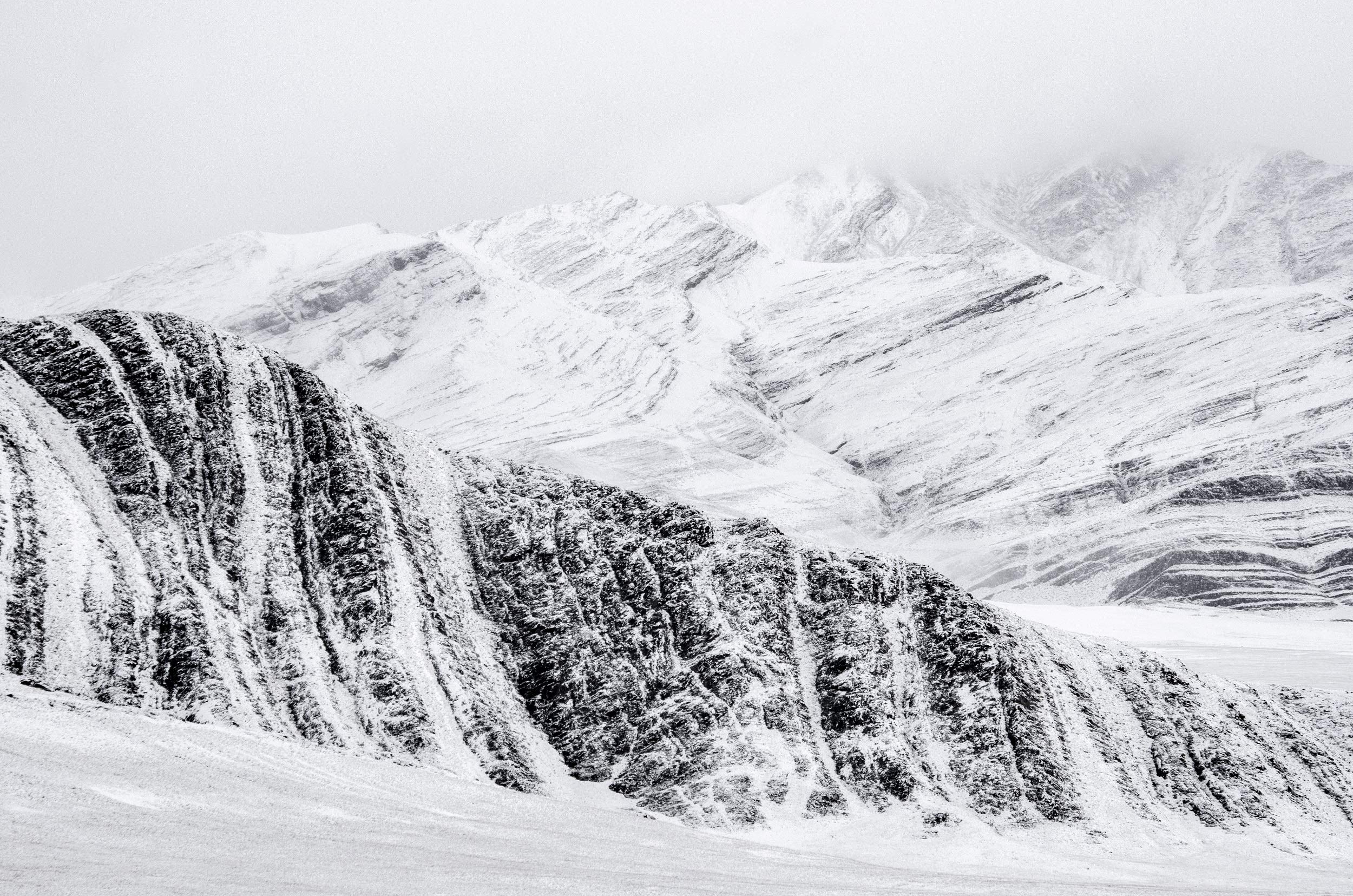 Amazon.co.jp: Vincent Munier: 本、バイオグラフィー、最新アップデート